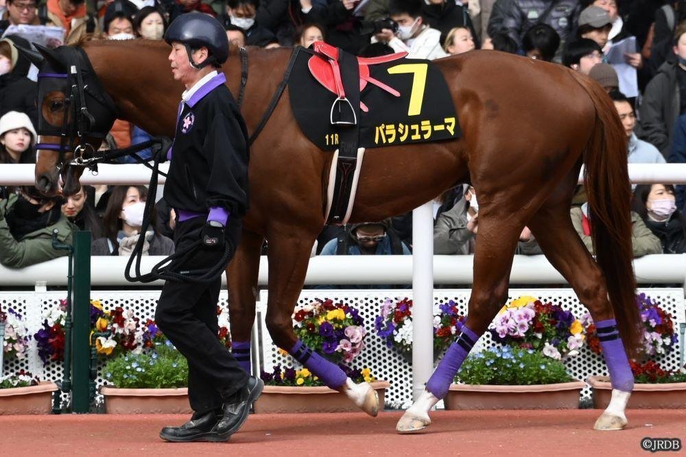 4/20（土）京都11R 天王山S 赤木の予想｜JRDB 競馬アラカルト
