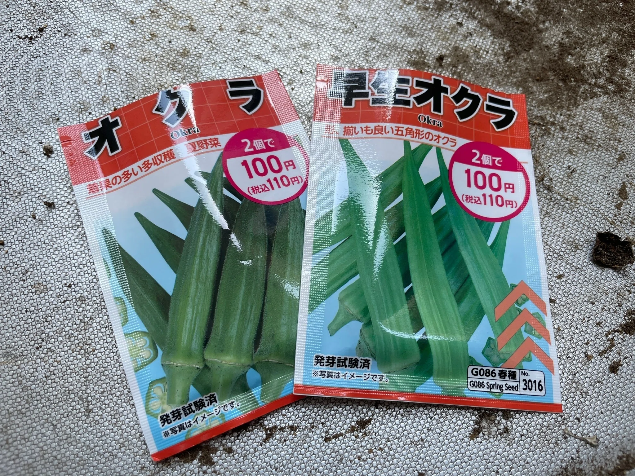 私のベランダ【家庭菜園記録 4月上旬】｜魚崎