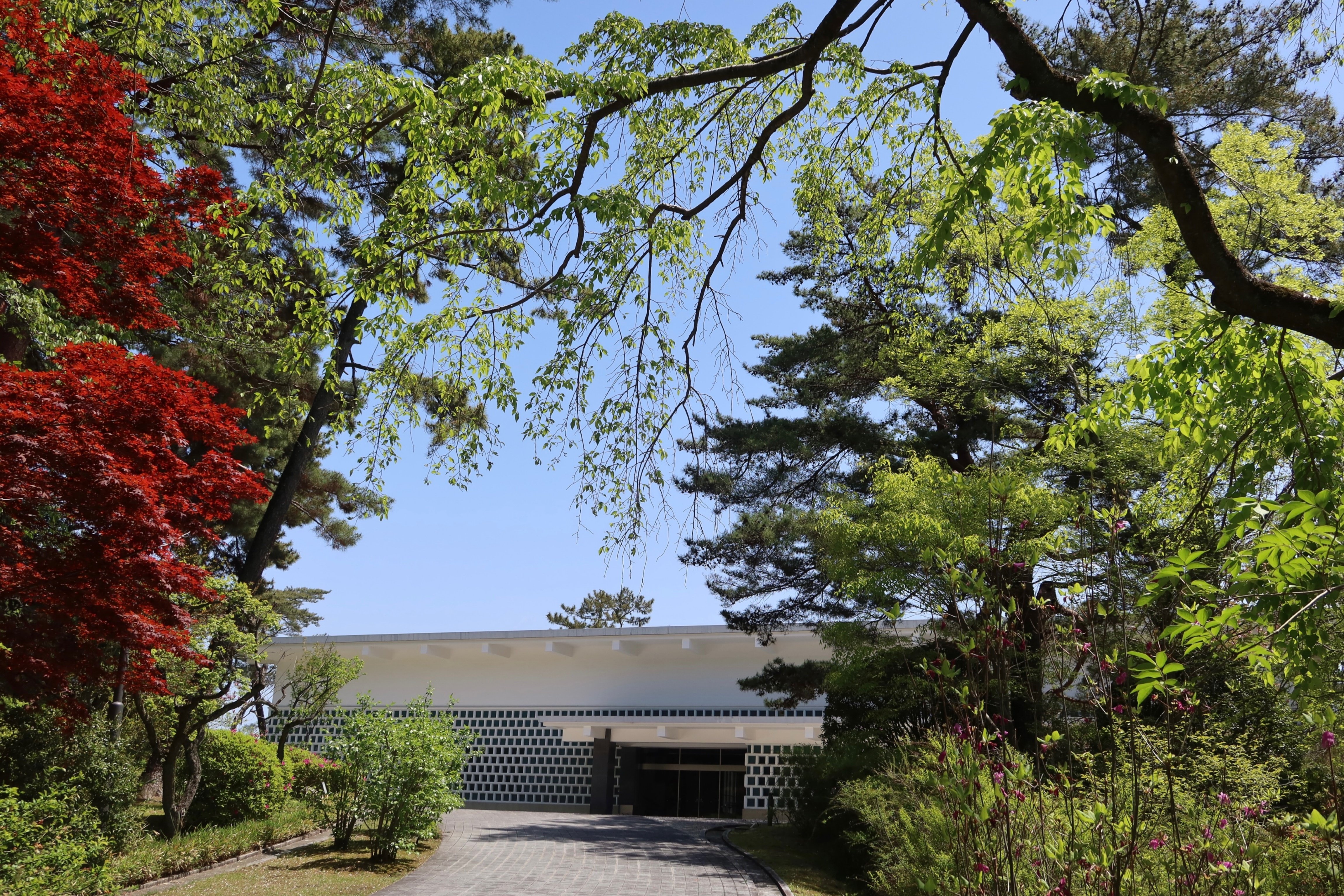 徒然雲 【富岡鉄斎 知の巨人の足跡】＠大和文華館｜kumokichi