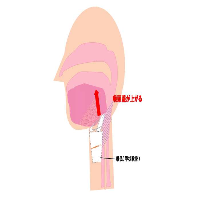 歌における「喉を開く」の謎｜Nozomi