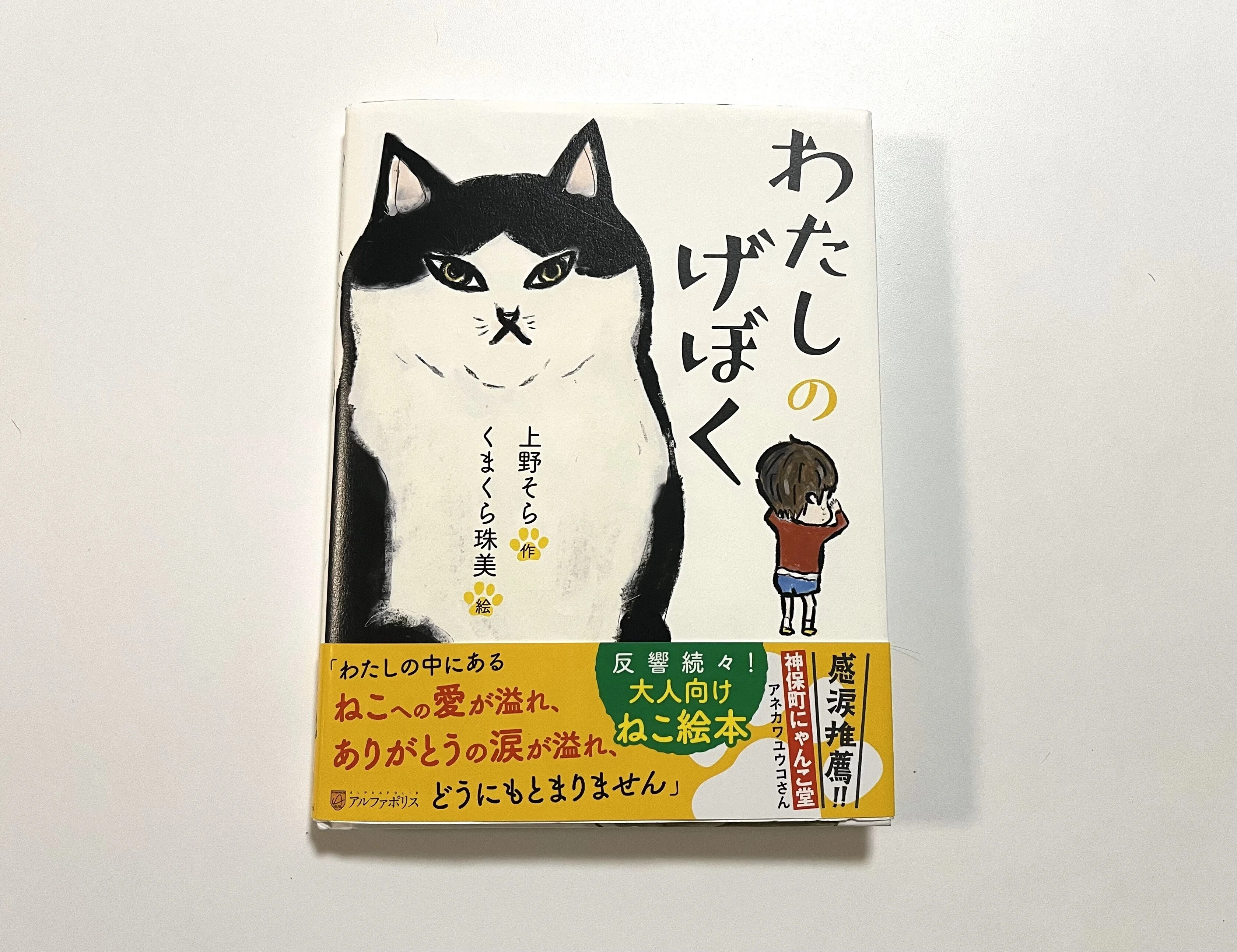 わたしのげぼく』泣いたあと温かな気持ちで読み終われる度 ｜望月ぷみ