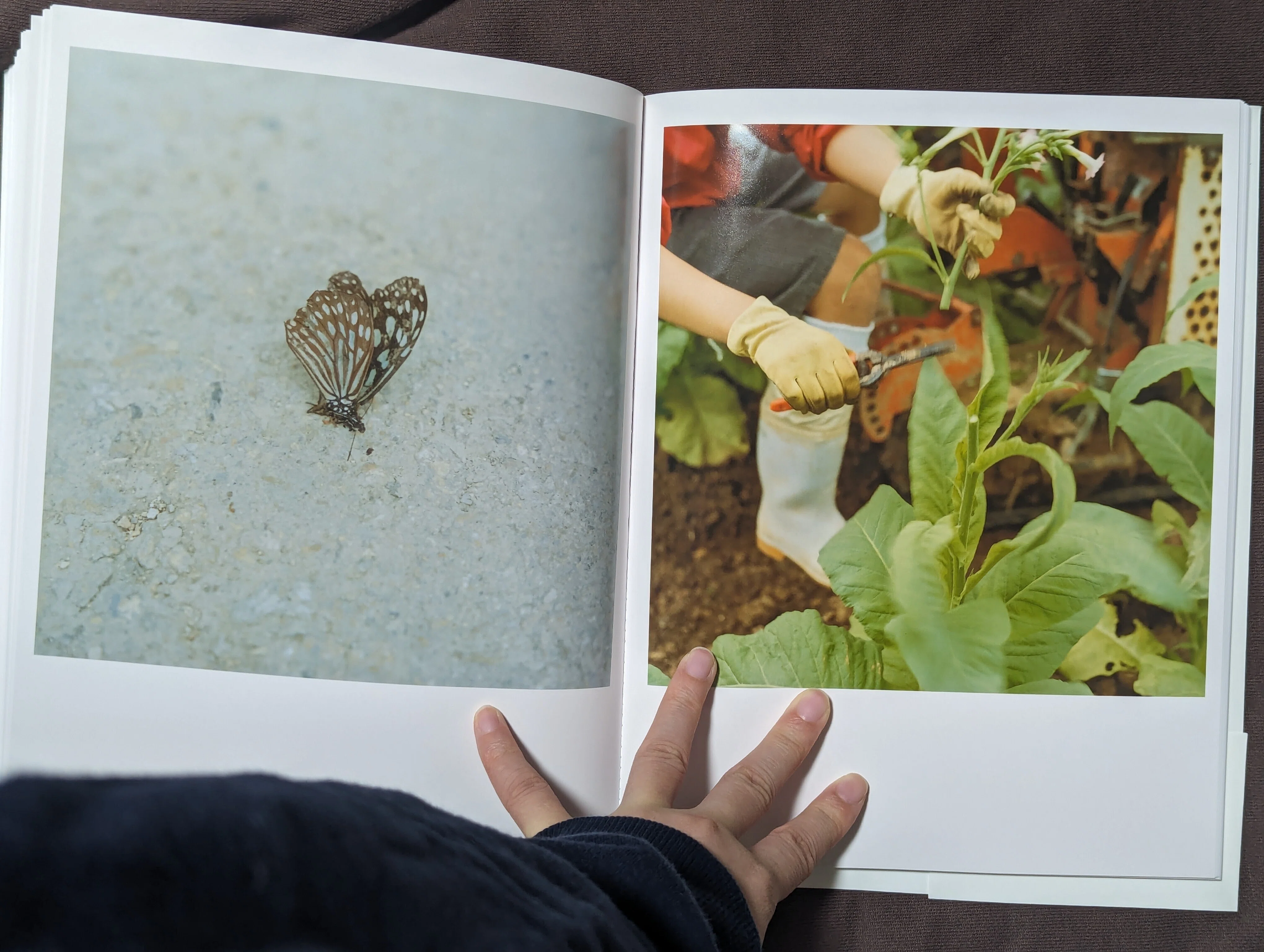 写真集を読み始めた私が選ぶ、大好きな6冊｜iroha