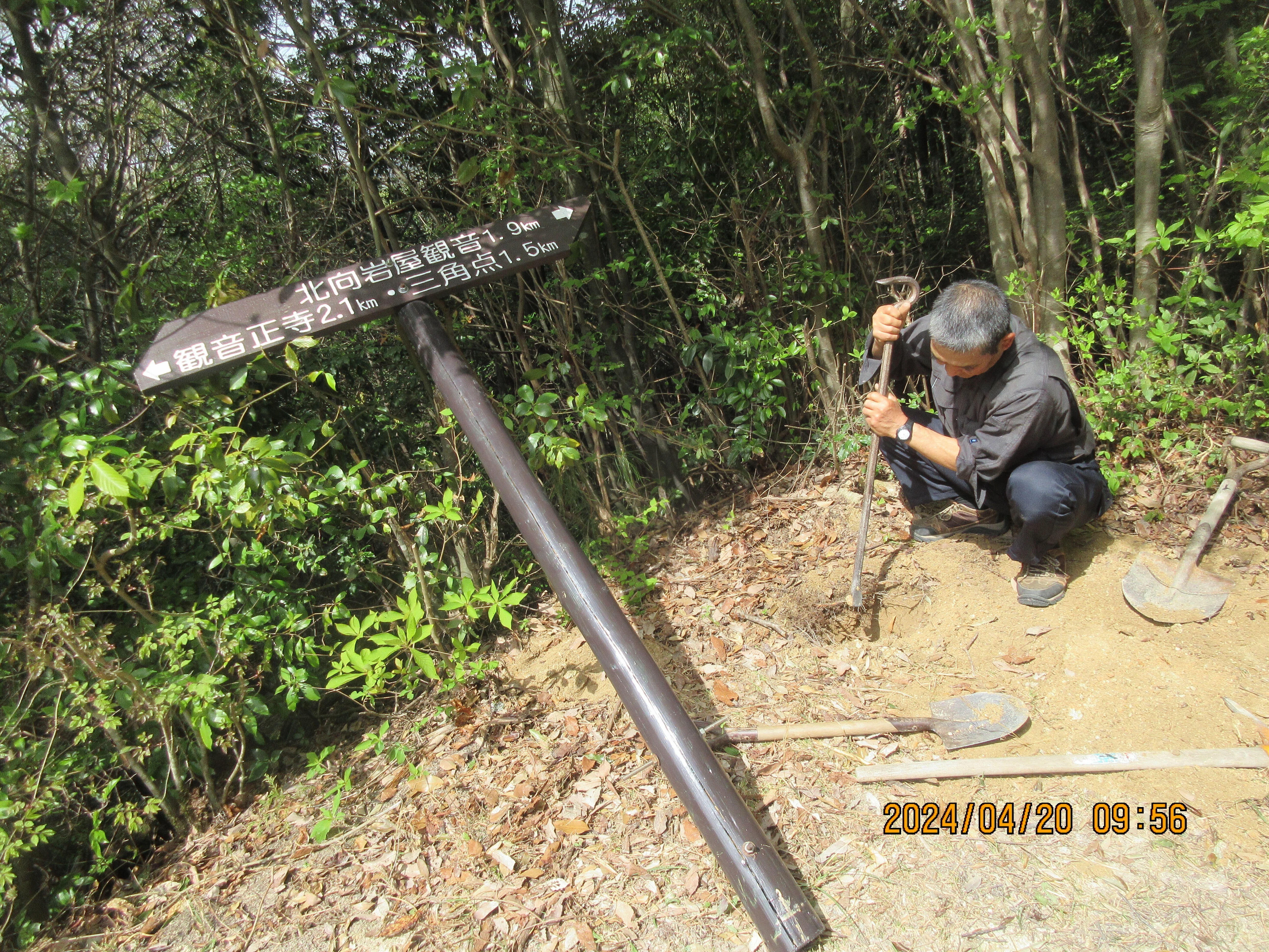 繖山登山道の道標更新作業です｜東近江トレイル探訪、繖山・箕作山