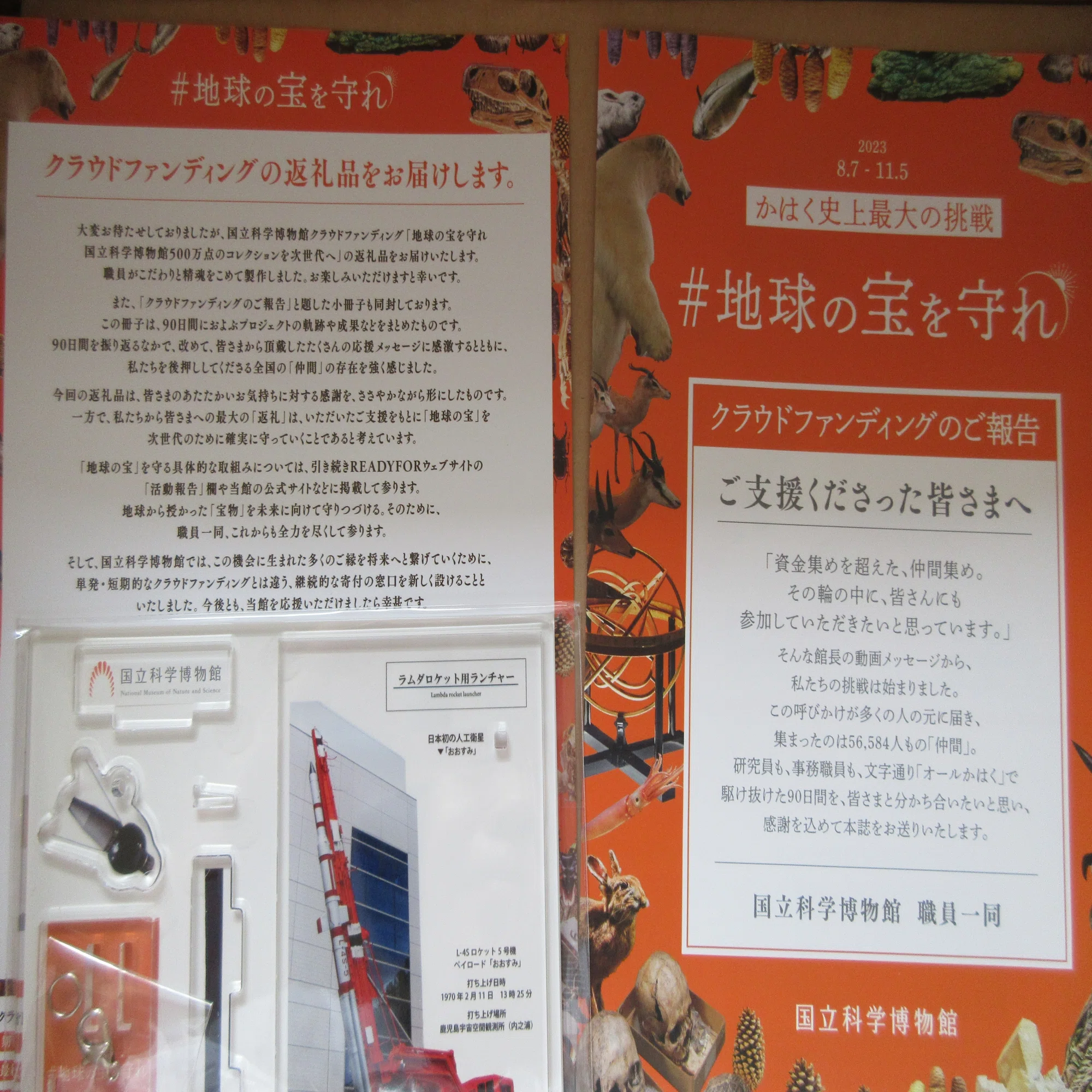 科博のクラファン、返礼品届きました｜のぶこ