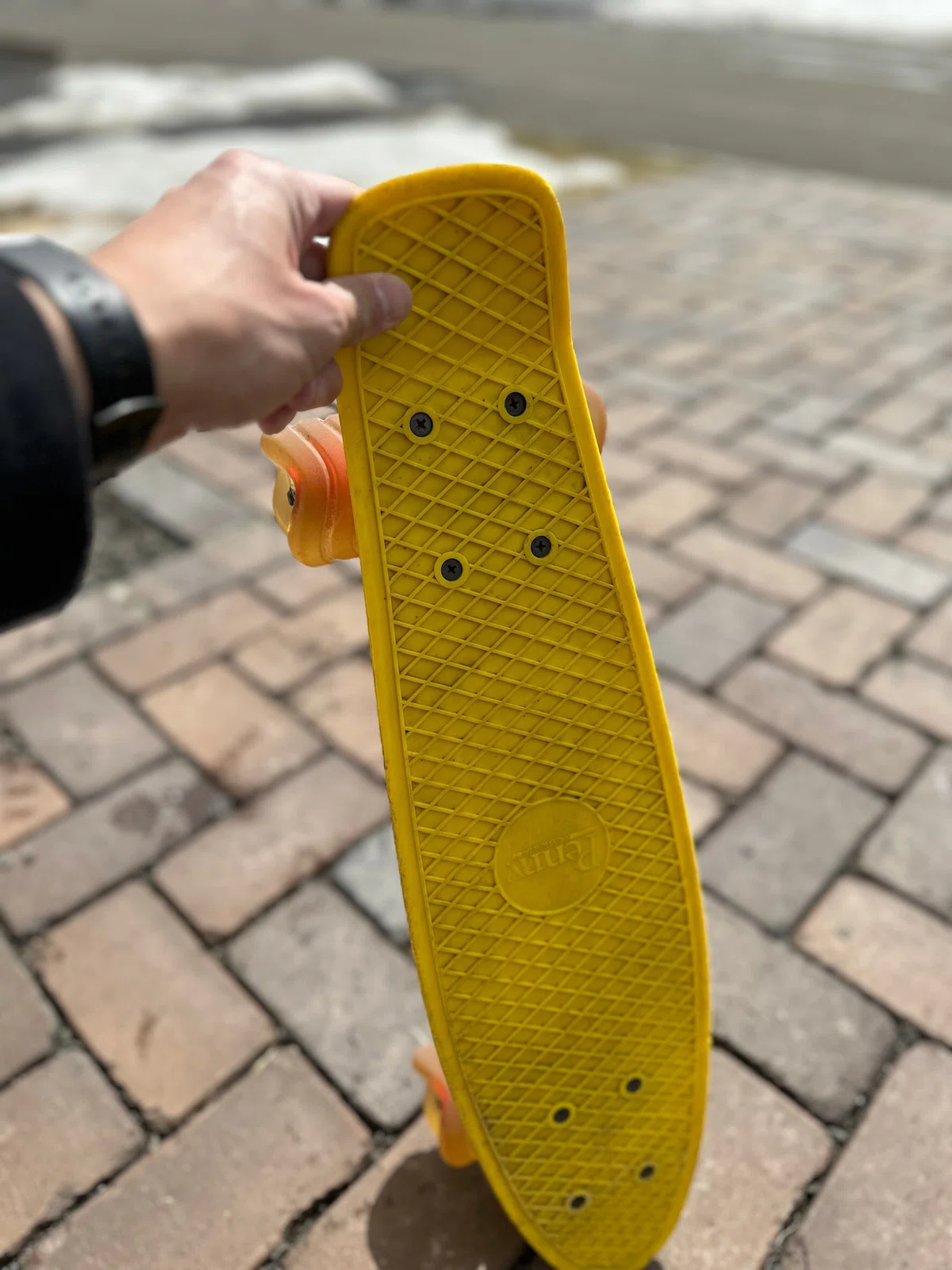 Penny 22インチ ペニー