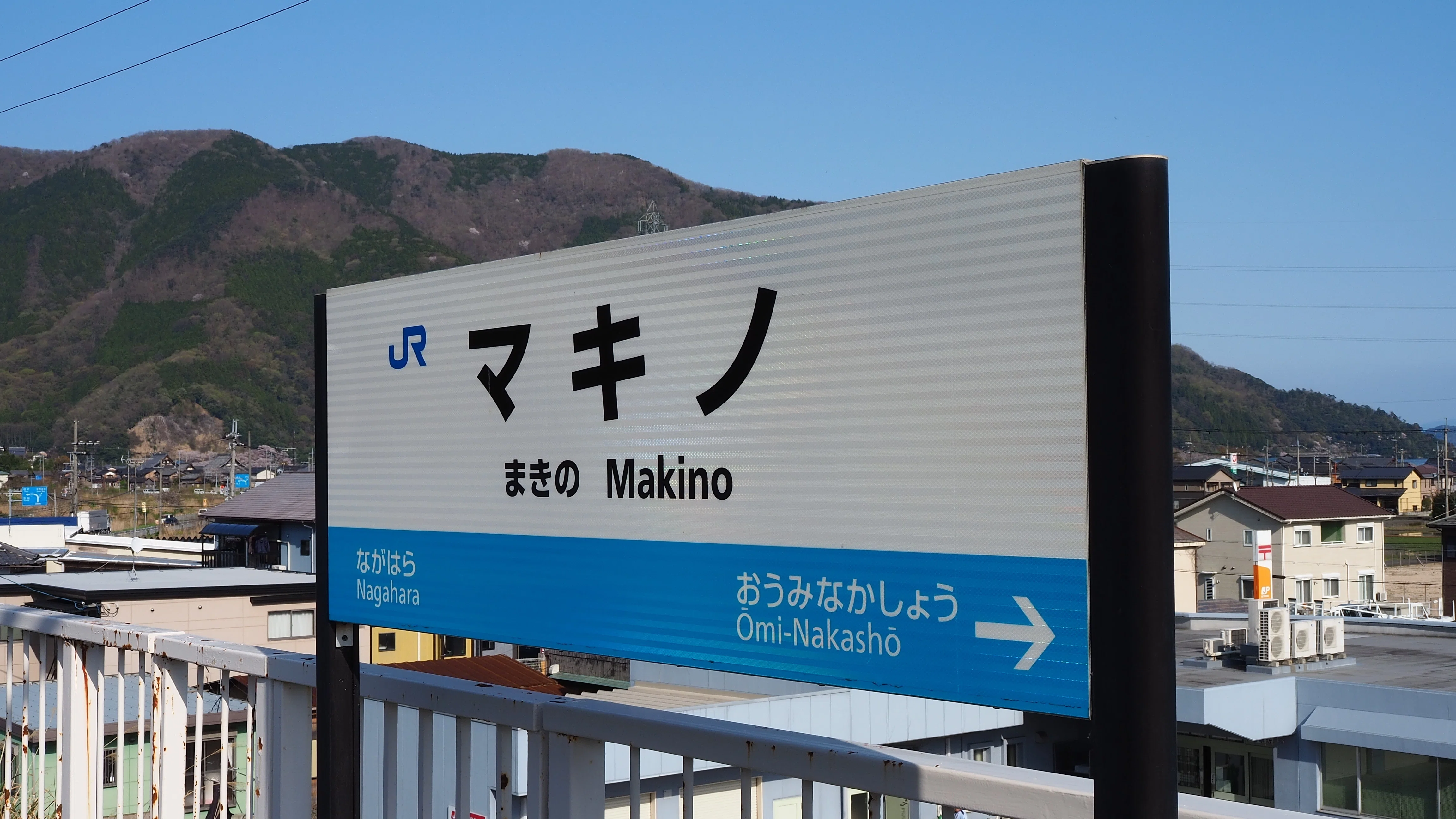 マキノ・海津大崎散歩（2024.04）｜Akio van der Meer