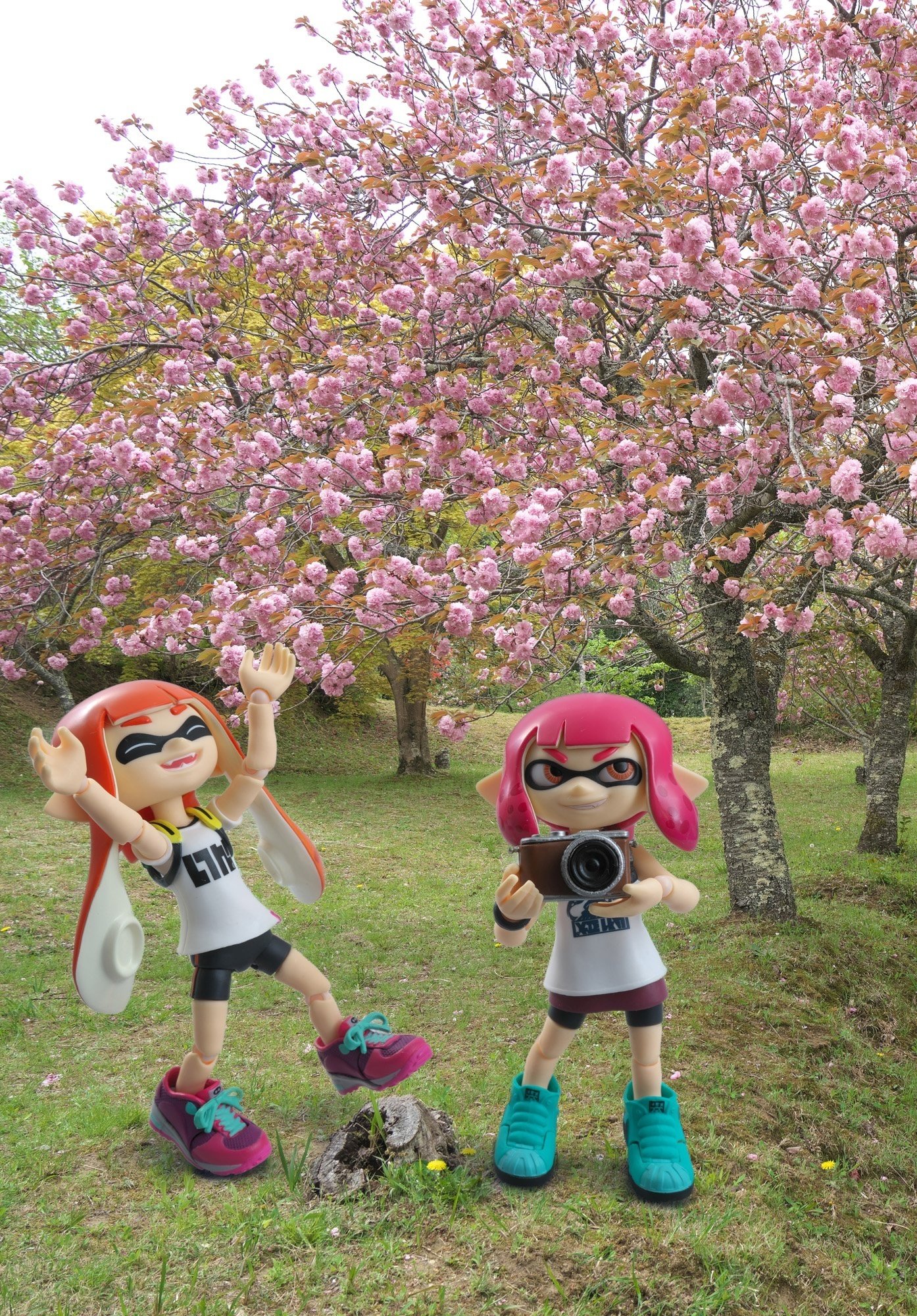 イカちゃんたち西山公園で花撮影｜フユキ／西川冬旗