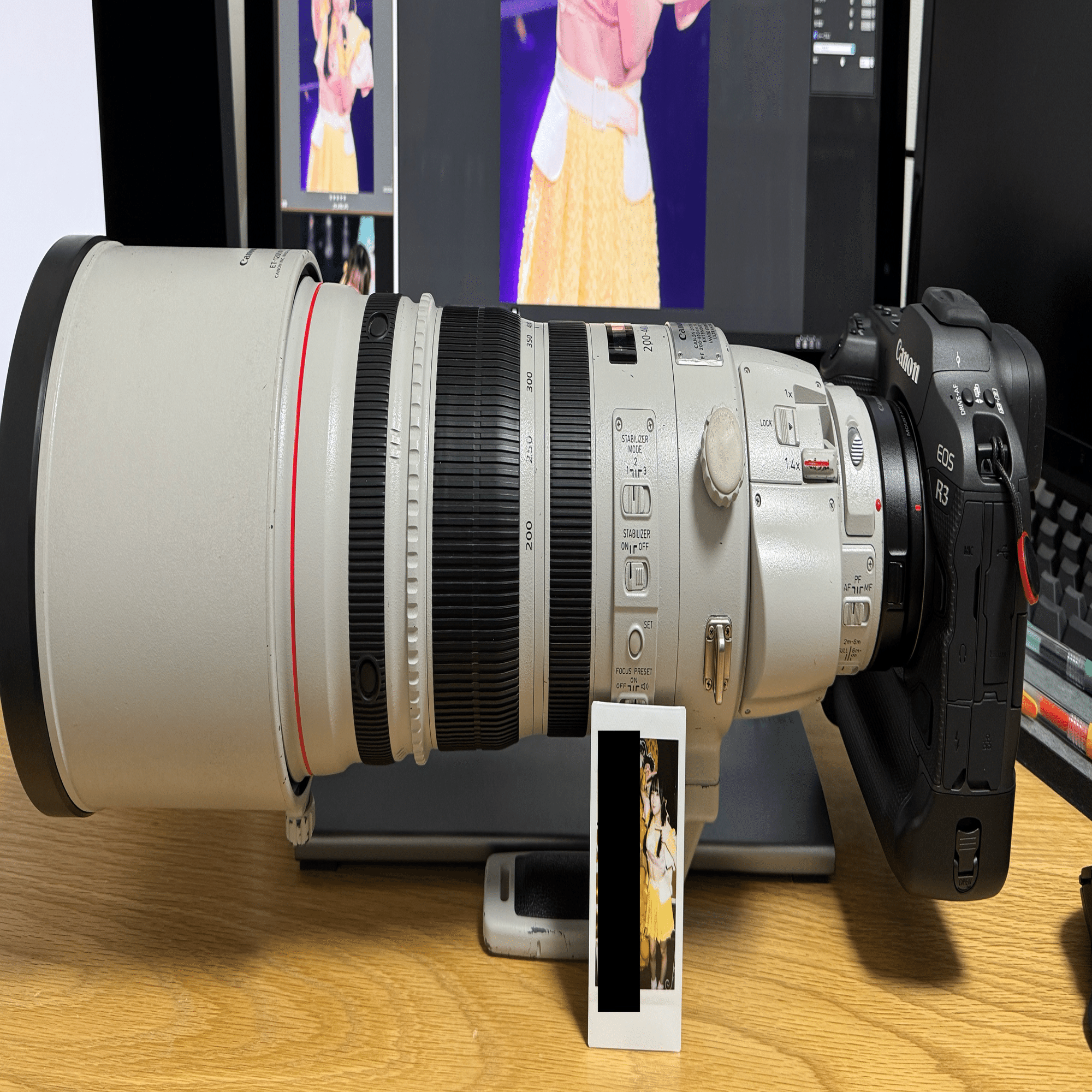 EF 200-400mm F4L IS USM エクステンダー 1.4×｜タカシ