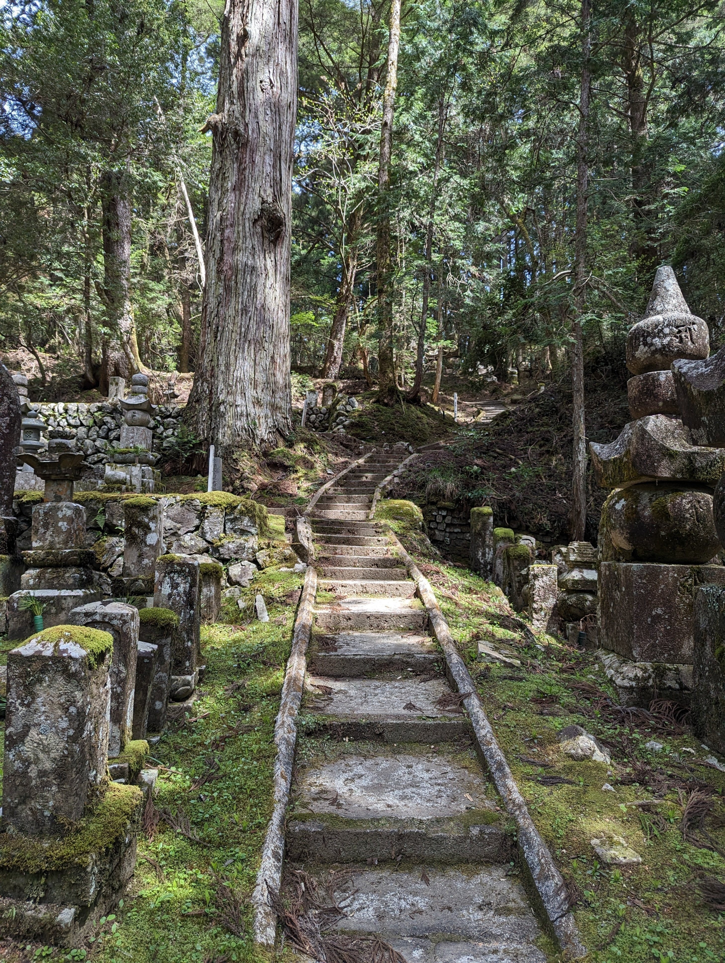 高野山の桜🌸と『廿日大師ご開帳』｜さりー
