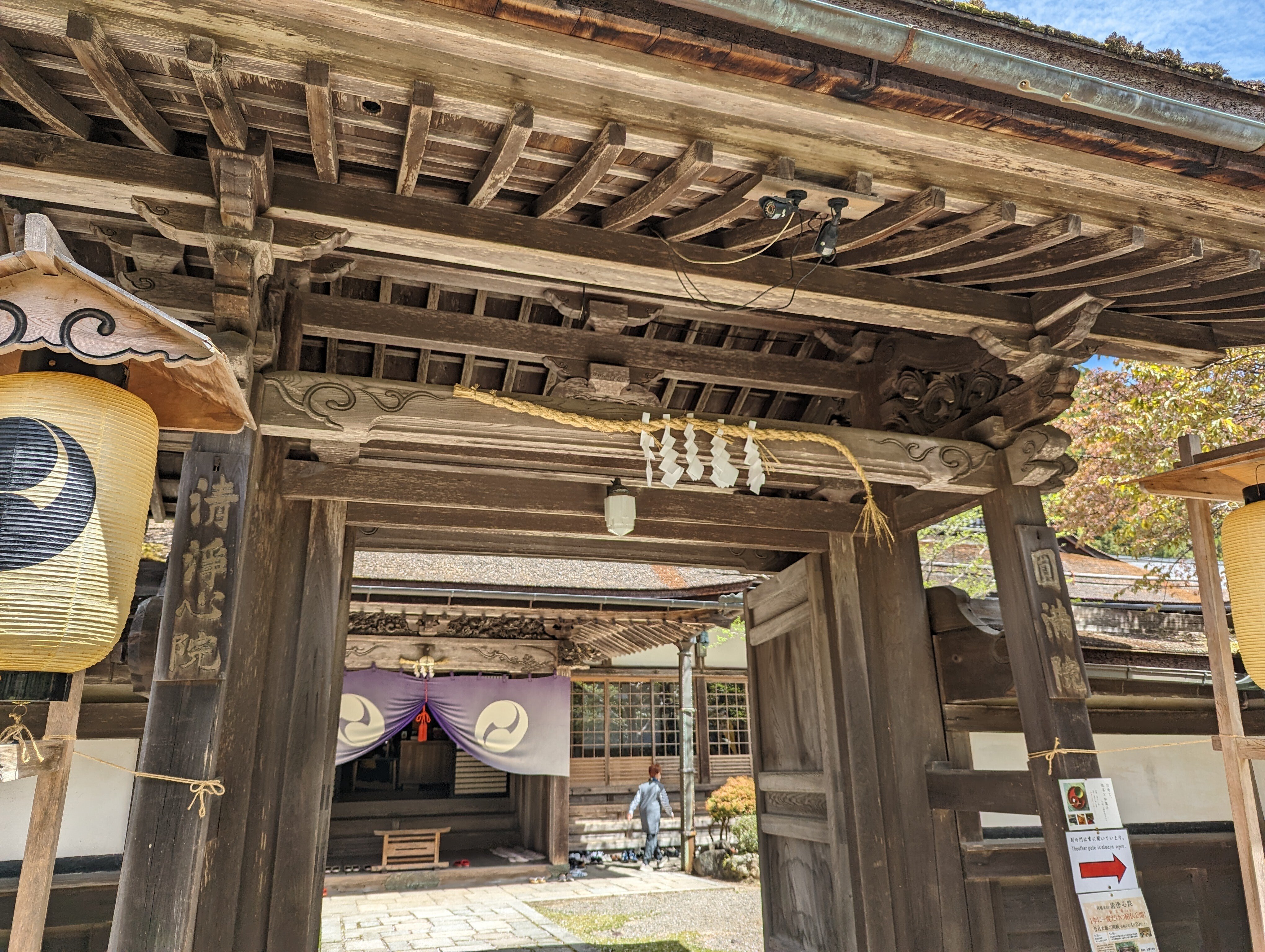 高野山の桜🌸と『廿日大師ご開帳』｜さりー