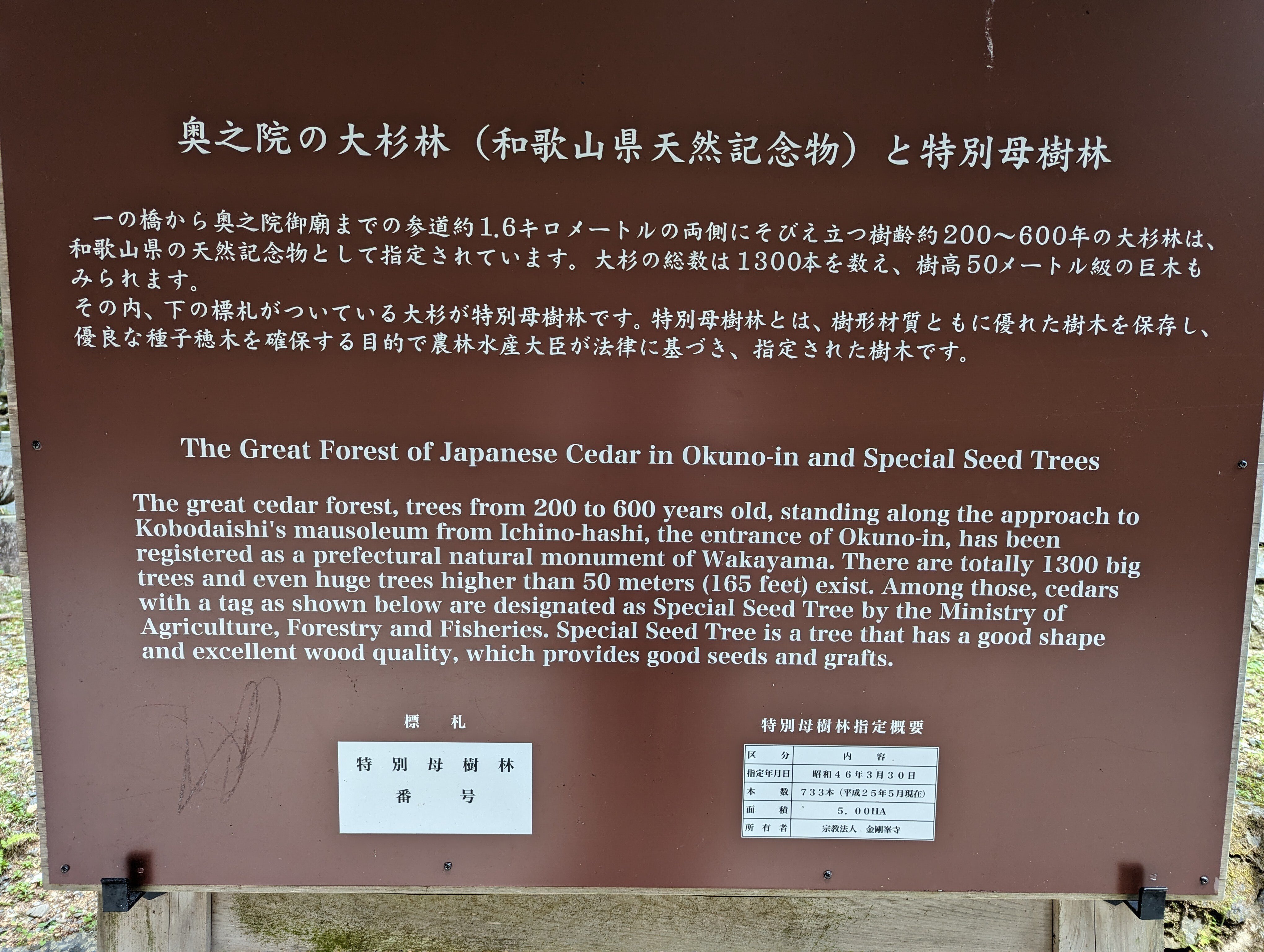 高野山の桜🌸と『廿日大師ご開帳』｜さりー