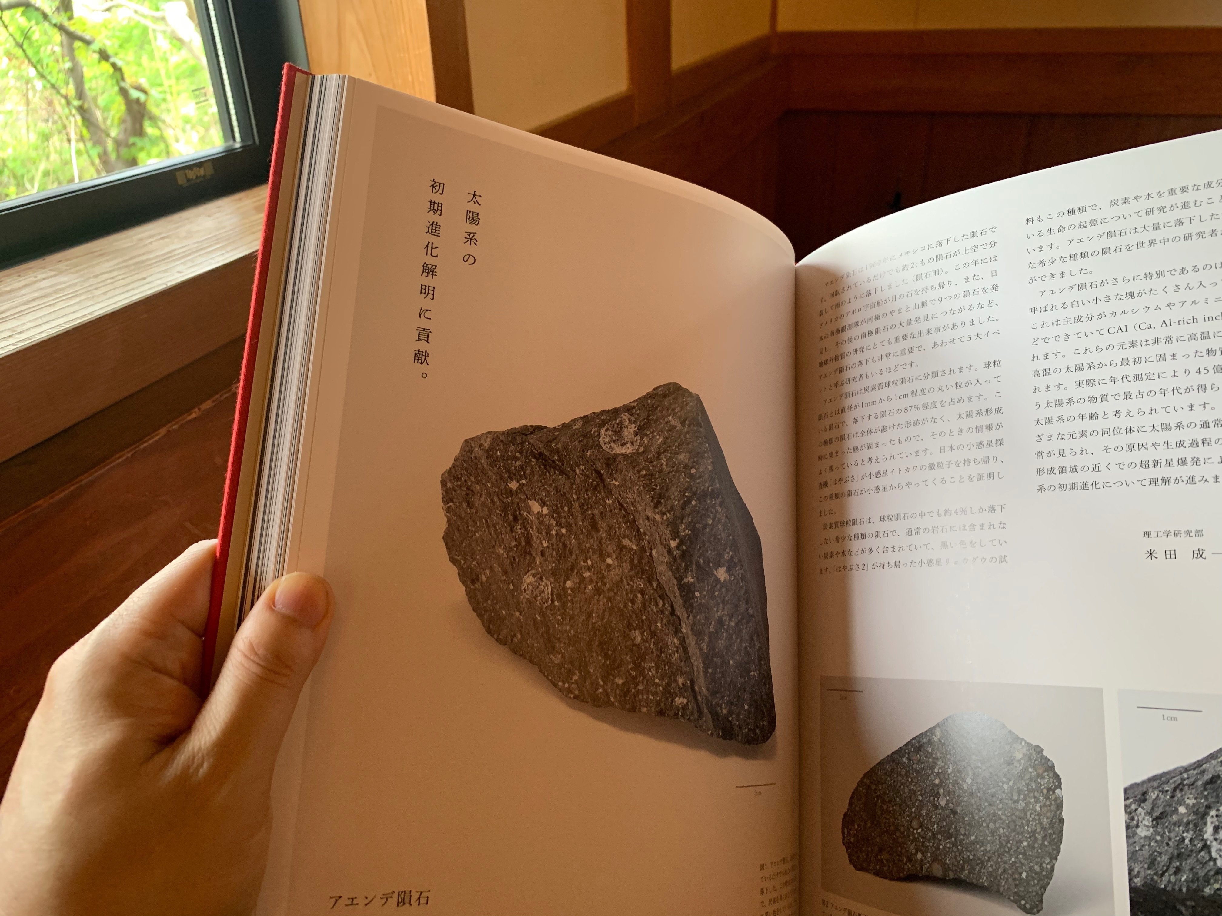 国立科学博物館　返礼品 2025年最新】国立科学博物館 返礼品の人気アイテム - メルカリ