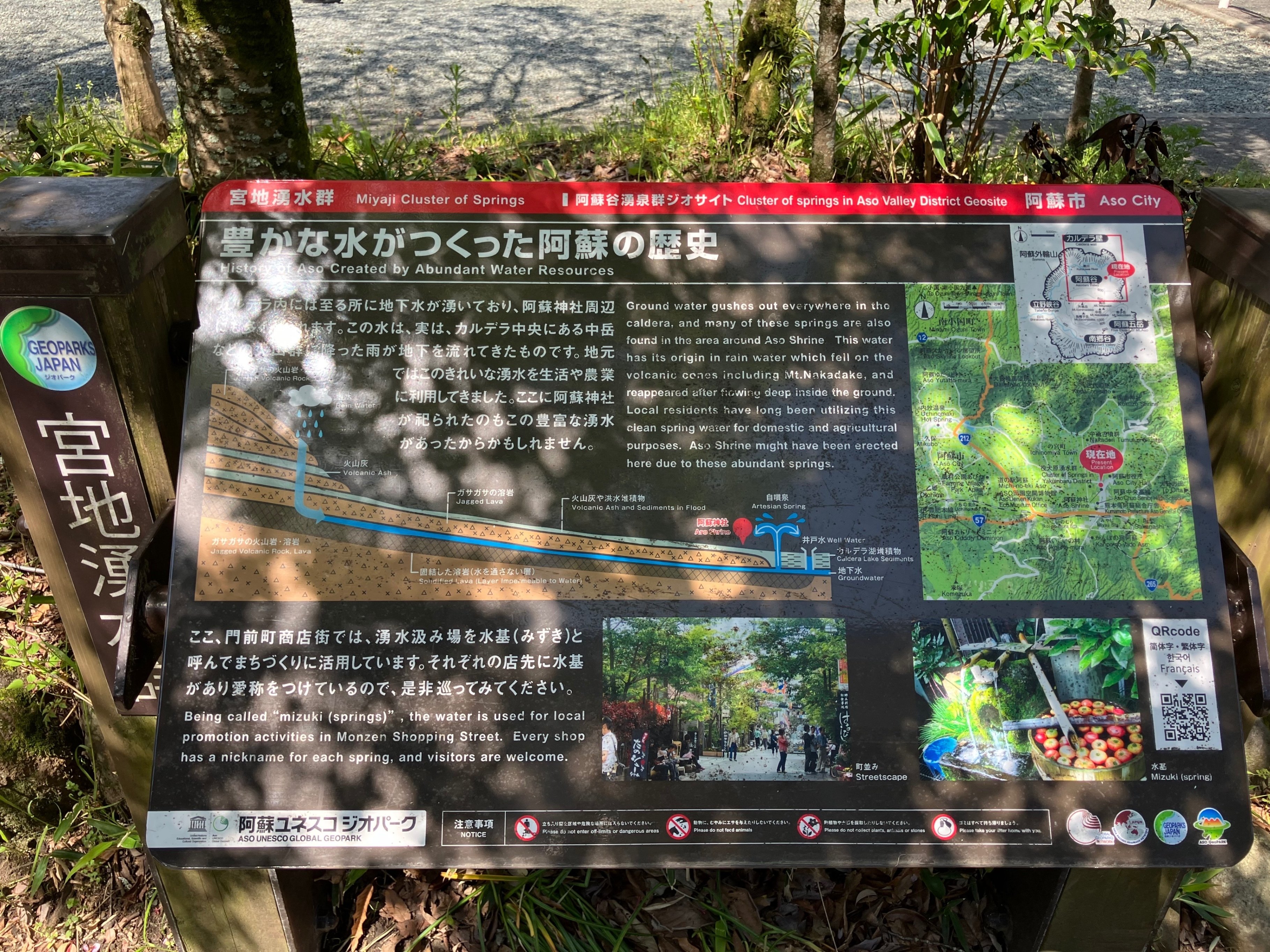 阿蘇神社 | 阿蘇 惟之 |本 | 通販 | Amazon