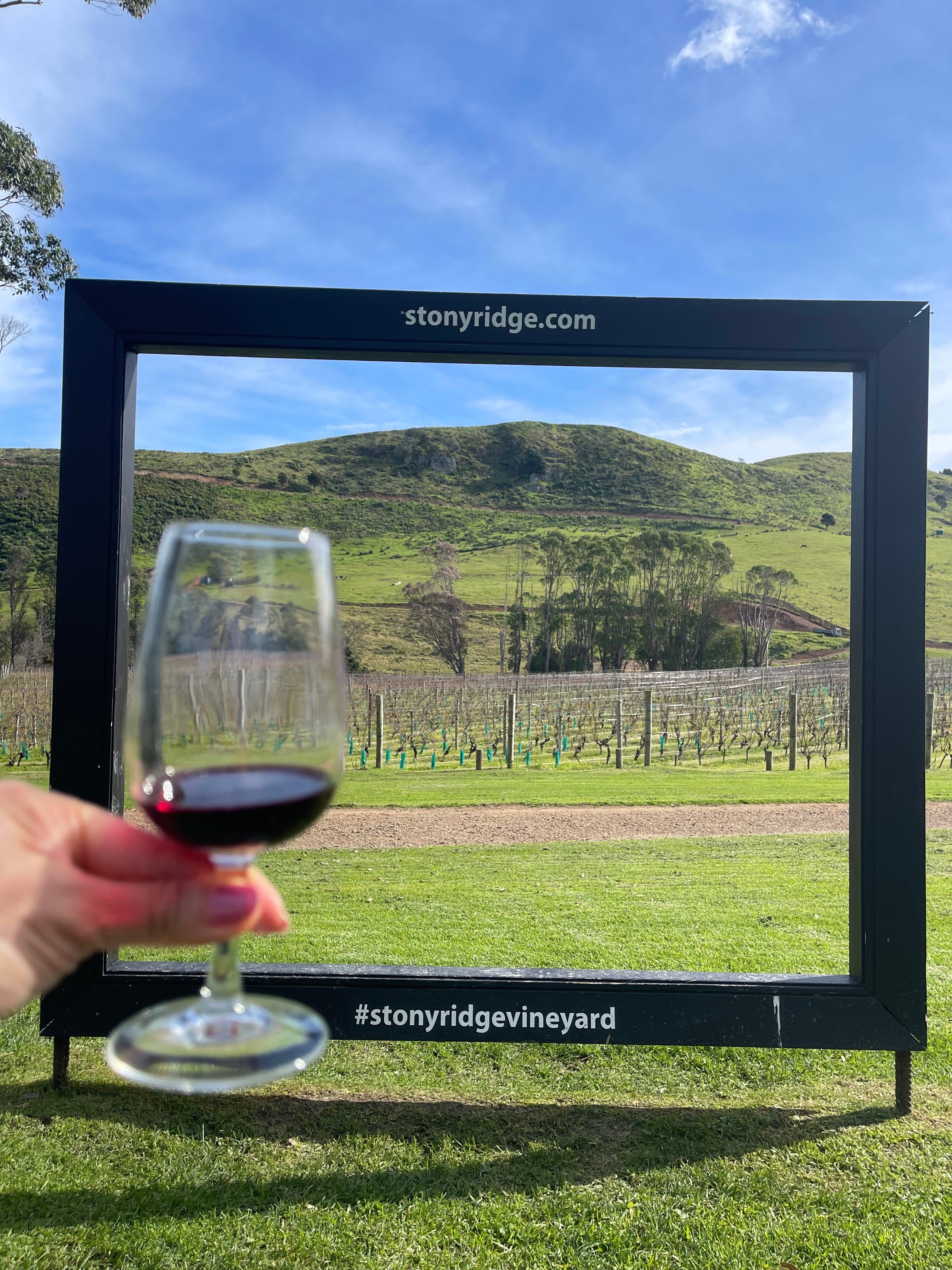 口コミ・レビューで人気商品を探そう ワイナリー訪問記🍷Newzealand編26：ストーニーリッジ・ヴィン ワイン