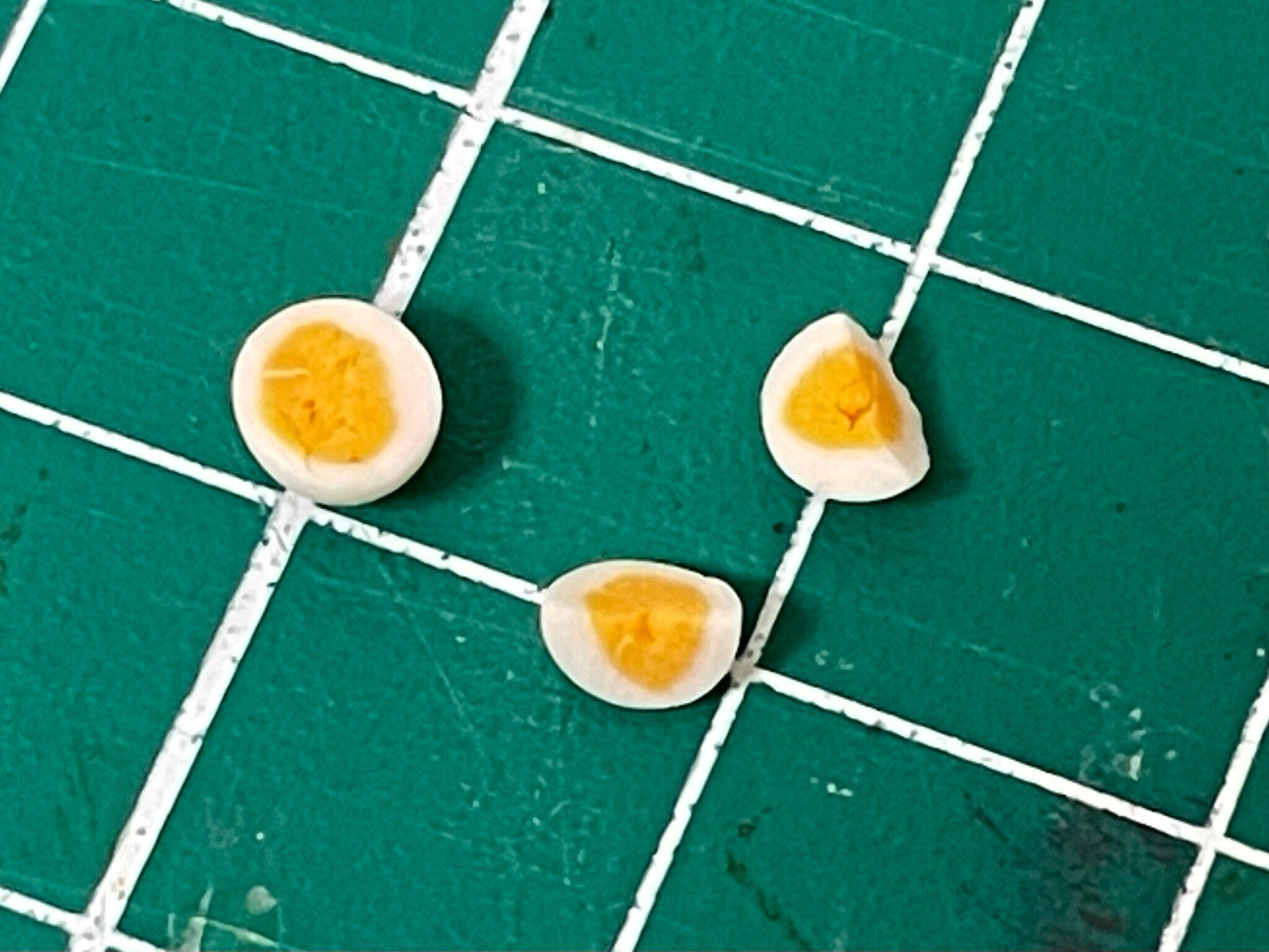 ミニチュア サンドイッチ サンドイッチ ミニチュアコレクション 全6種セット（カプセル）【4月