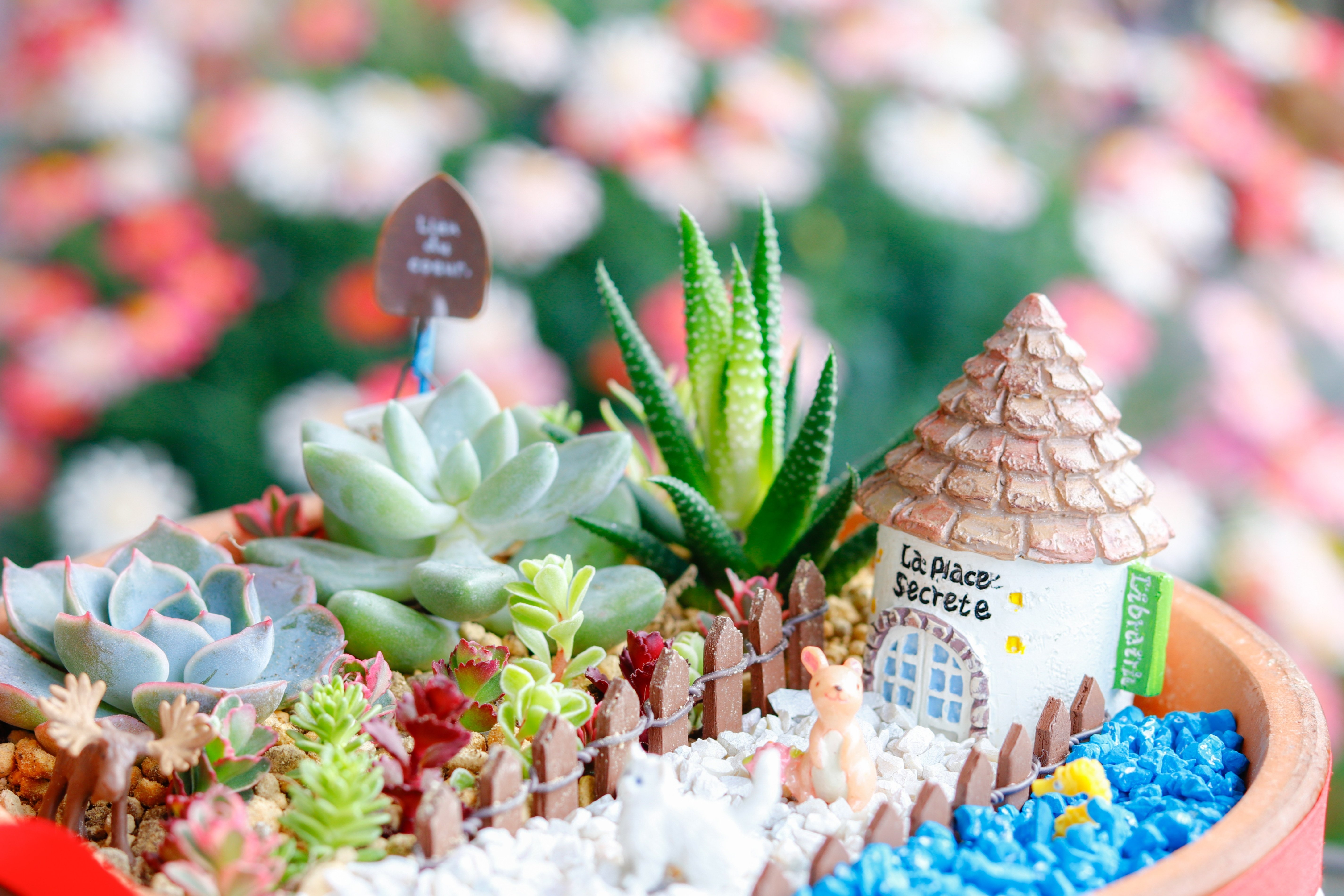 箱庭　ミニチュア 親子でつくろう！「多肉植物の箱庭」作り方（全工程写真付き）｜Jasmin