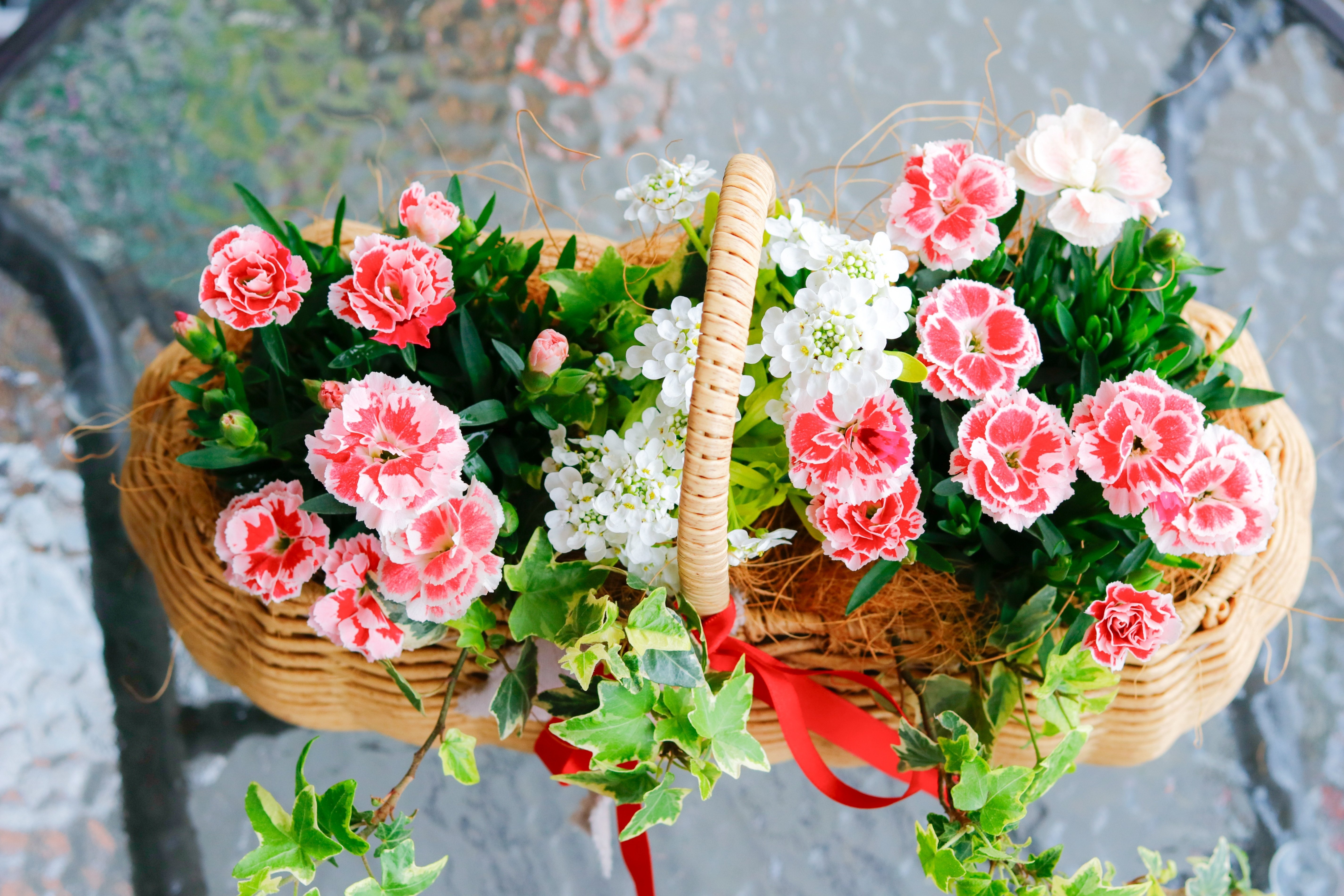 母の日に手作りの寄せ植えを｜Jasmin