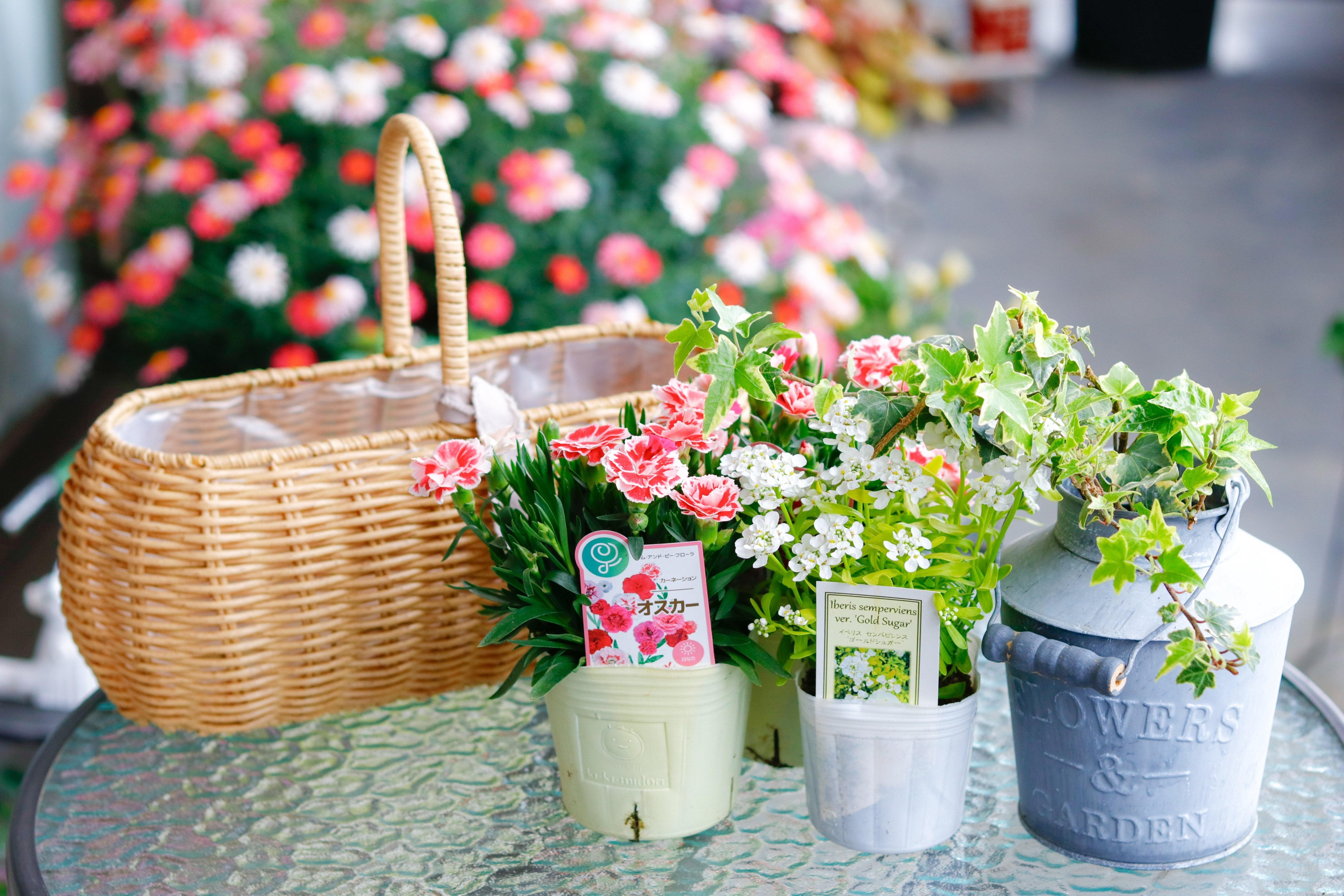 母の日に手作りの寄せ植えを｜Jasmin