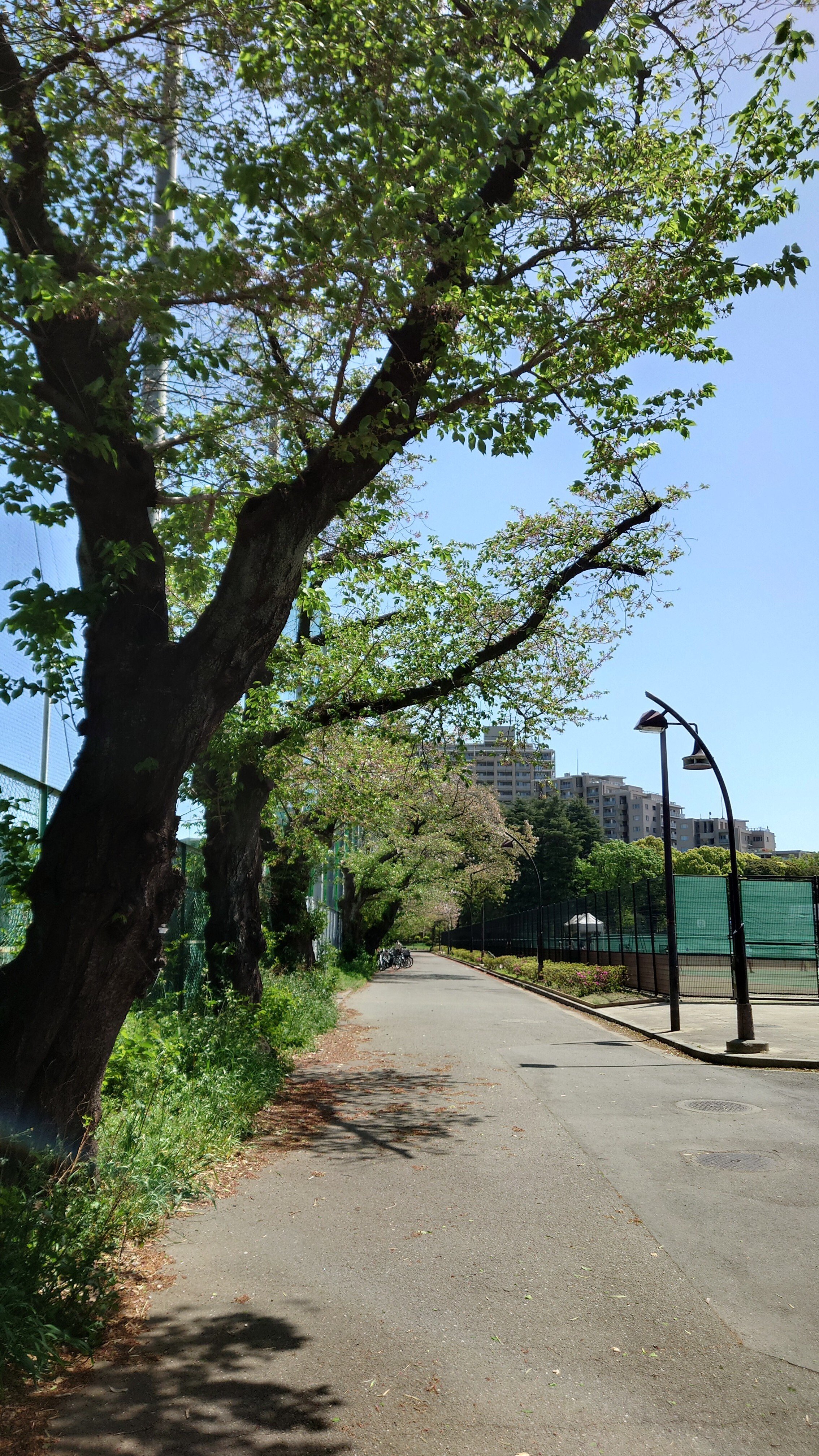 東京公園 原作 | けんこうママのブログ