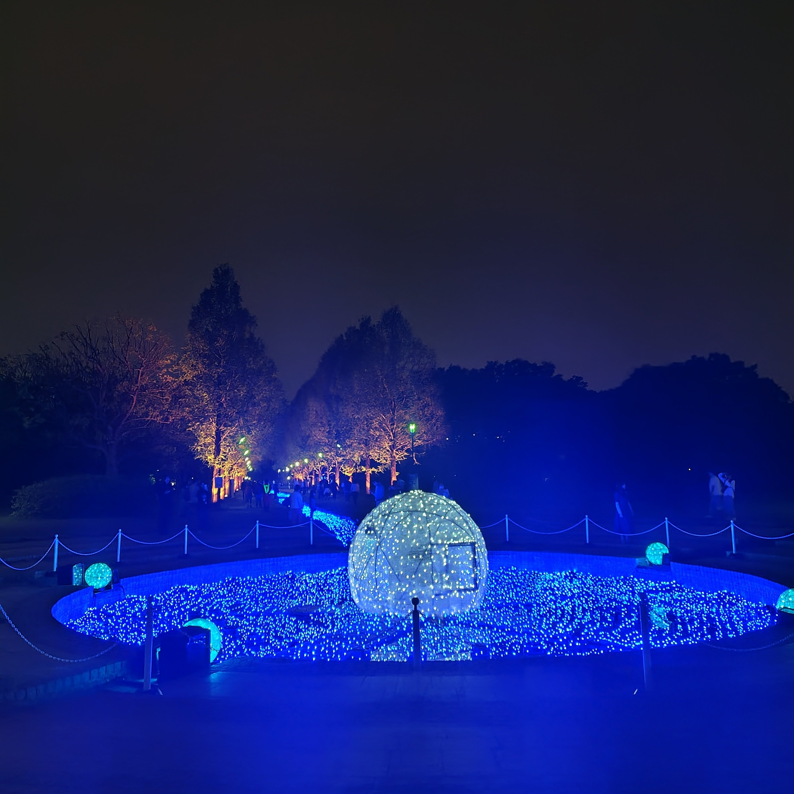 おさんぽ道楽】ネモフィラ・光のじゅうたん〈舎人公園〉｜深拍-mihaku-