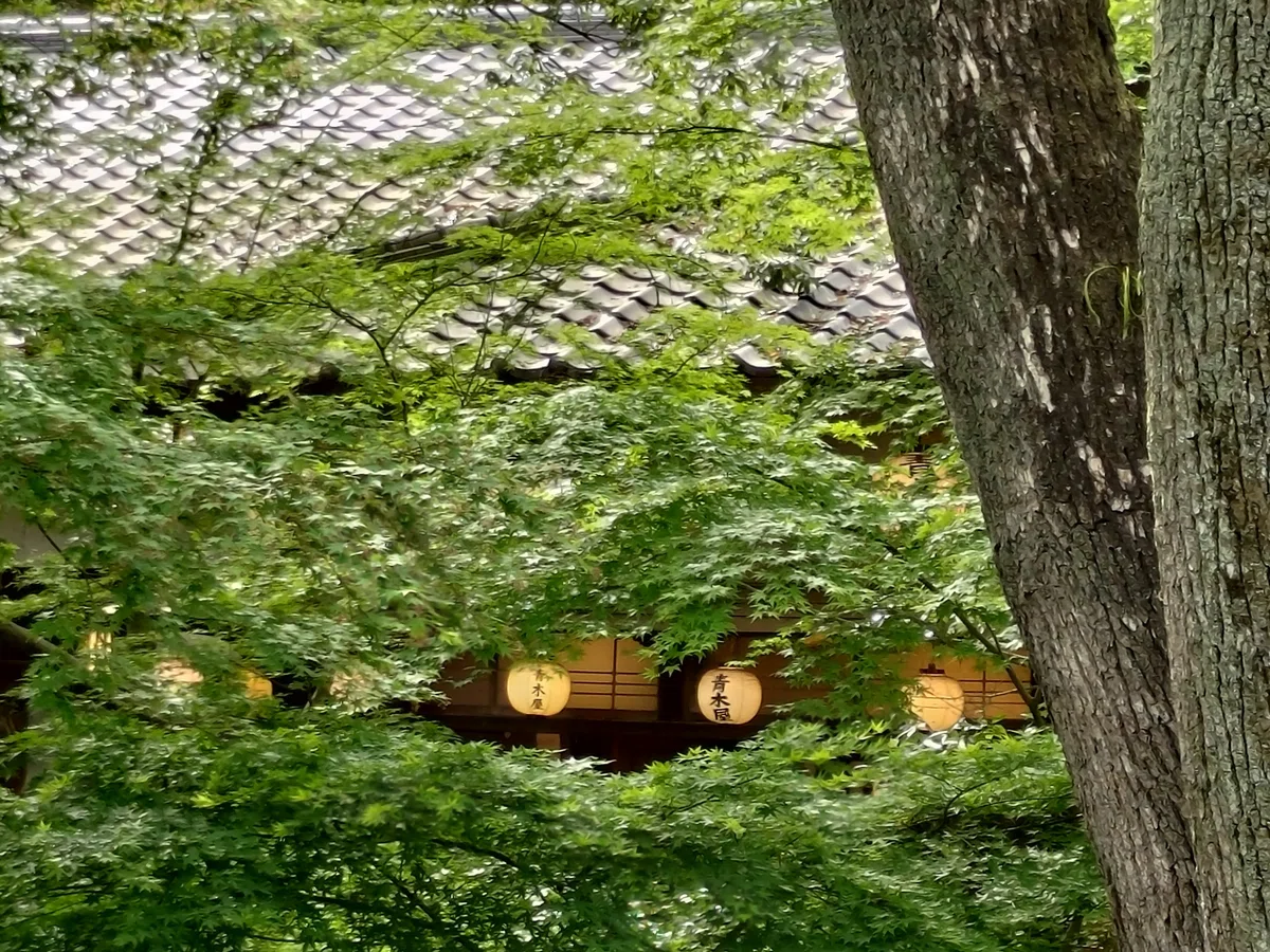 On a Whim, Jindai-ji｜よすが