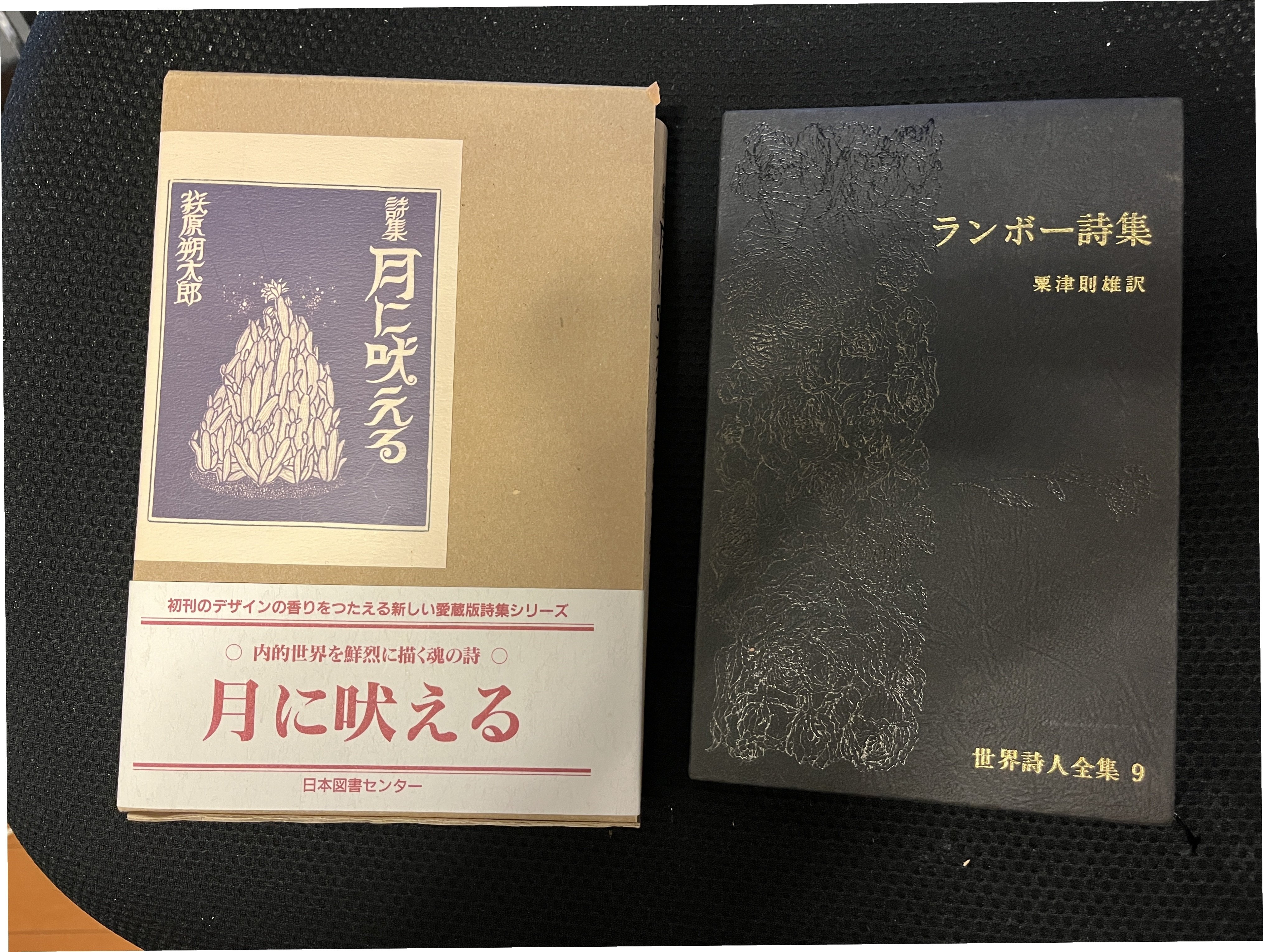ルソー・ボードレール 作品集 ルソー・ボードレール 作品集 Amazon.co.jp: ボードレール