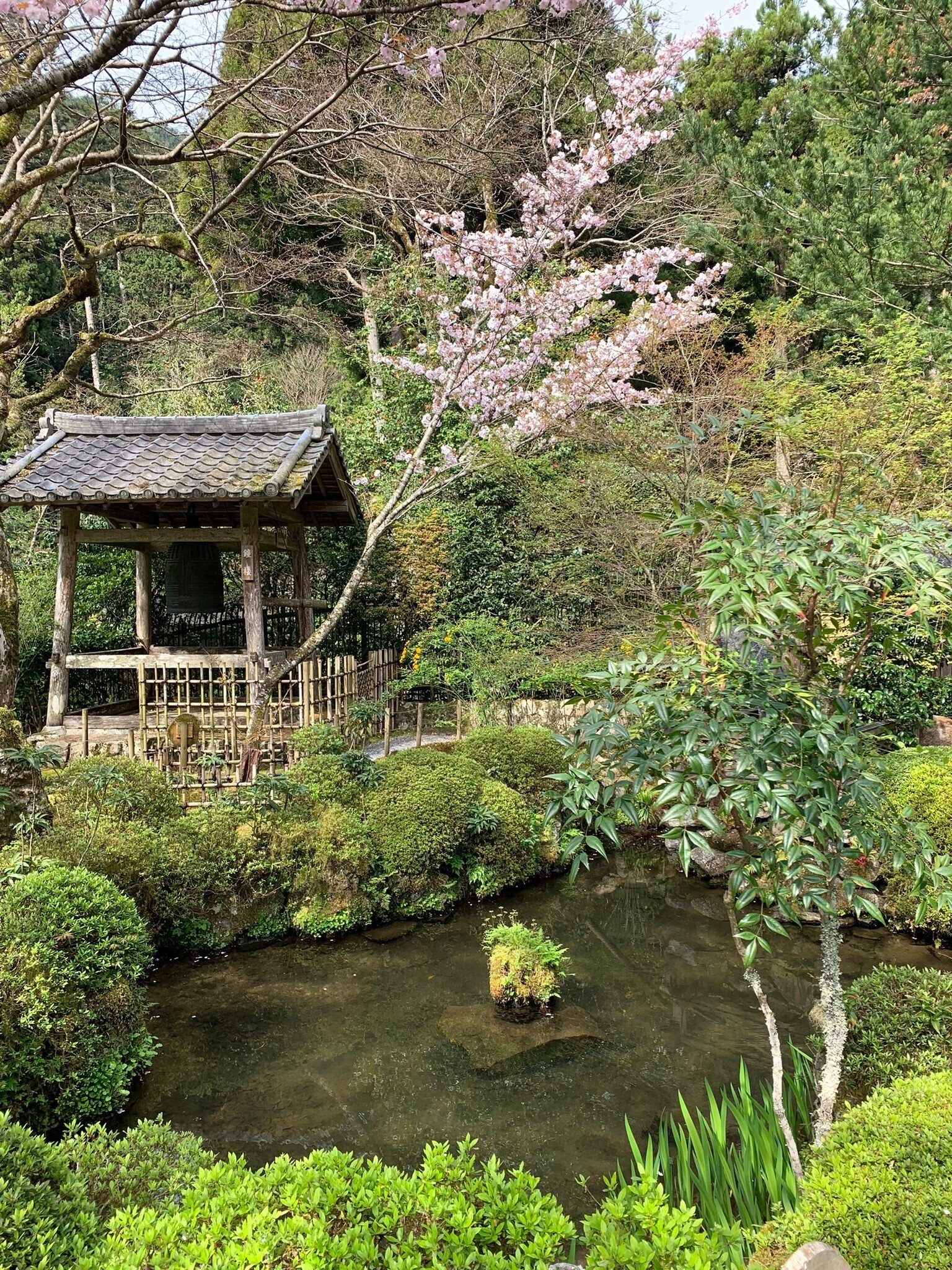 八瀬・大原 三千院 秘められた大原の歴史をさぐる 京都、大原、三千院抜き、その1｜菱岡憲司