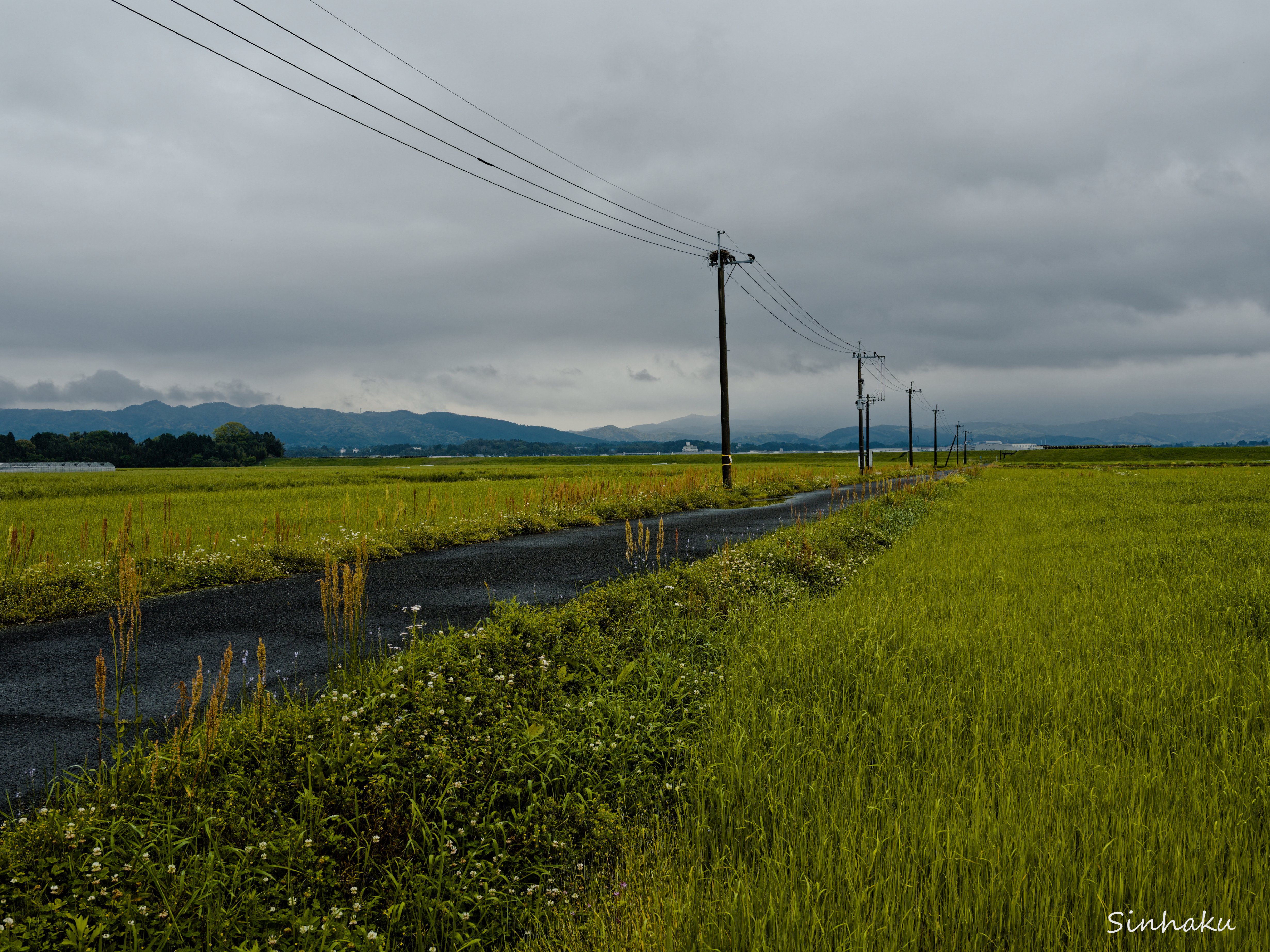 M.ZUIKO DIGITAL ED 12-45mm F4.0 PRO 実写｜しんはく(sinhaku)