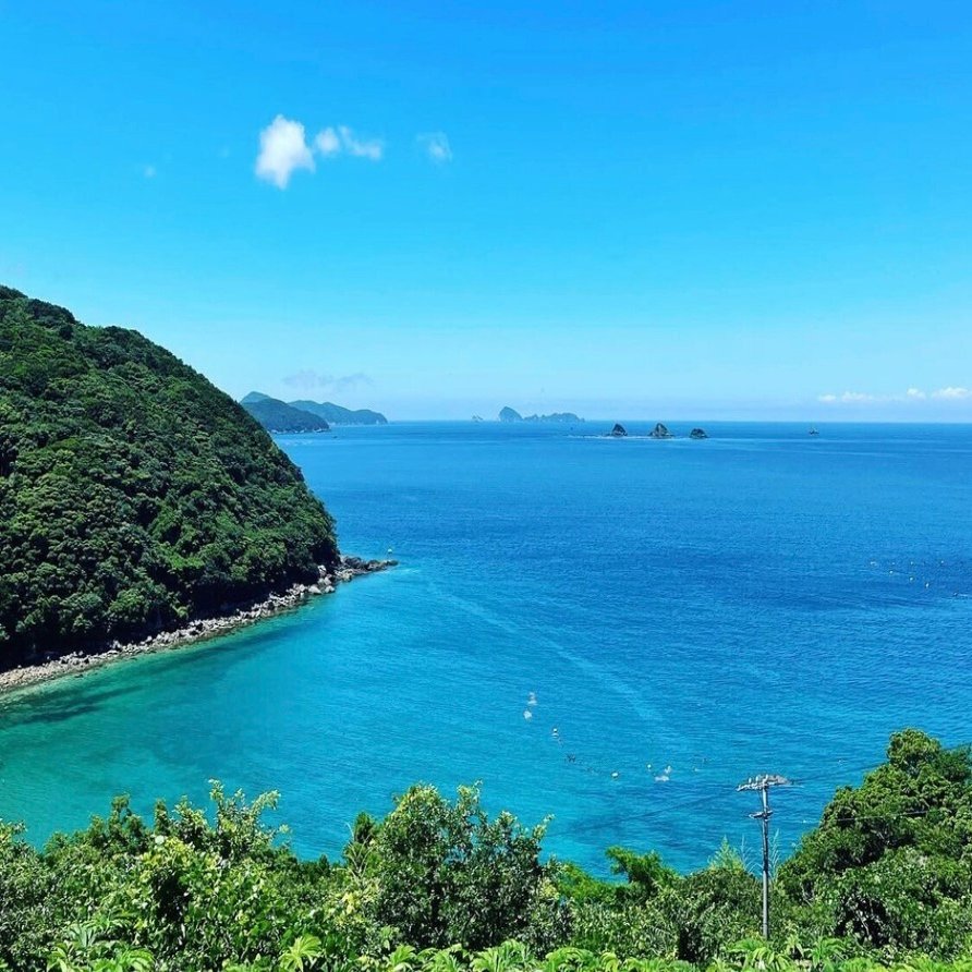 お手伝いで来た方が濃いファンになり、繋がり続けてくれるのが嬉しい。（愛媛県愛南町・はなきファーム）