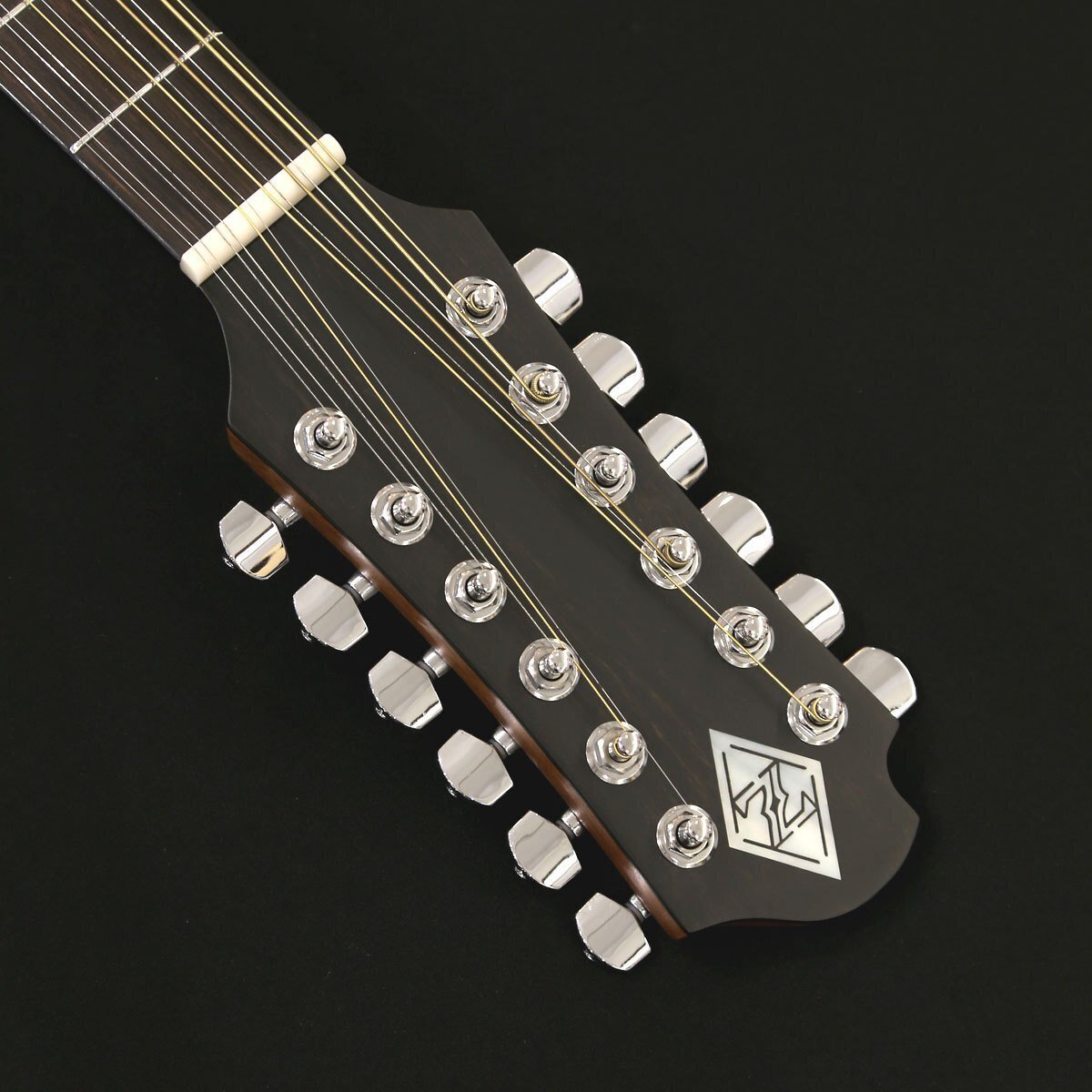 ZEMAITIS 「CAJ-300HS-12」伝統のZEMAITIS・12弦サウンドが身近に