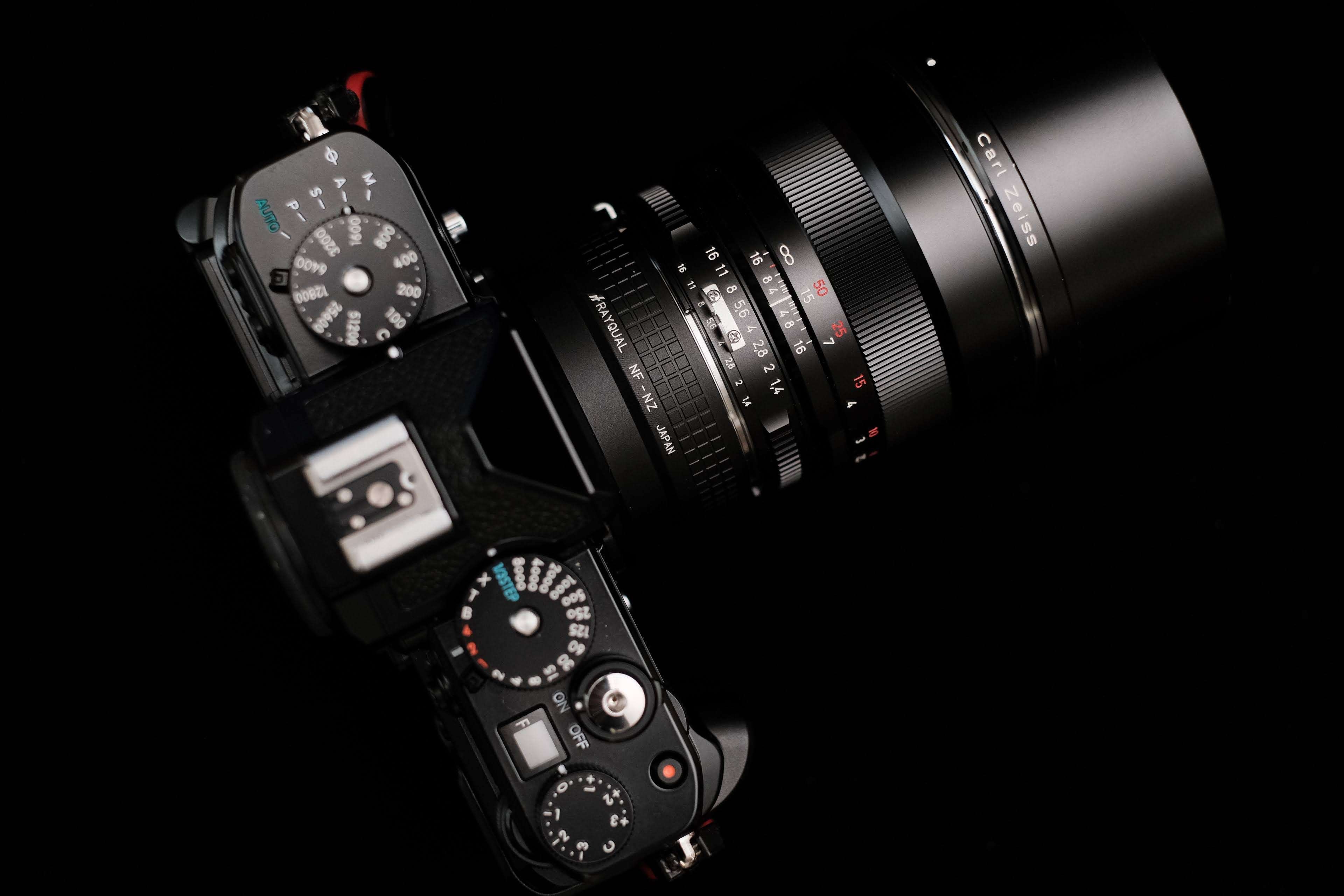 Nikon Zf x CARLZEISS Planar 85mm F1.4|pepepe Nikon Zf x CARLZEISS Planar 85mm F1.4|pepepe