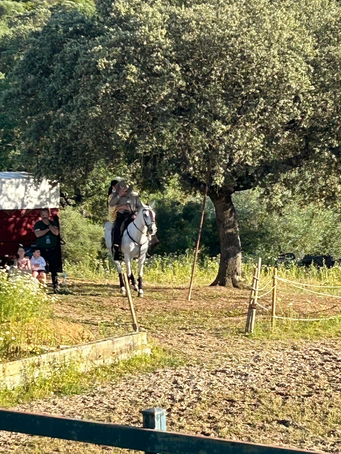 Flamenco Dancing with Horses｜mamamariko