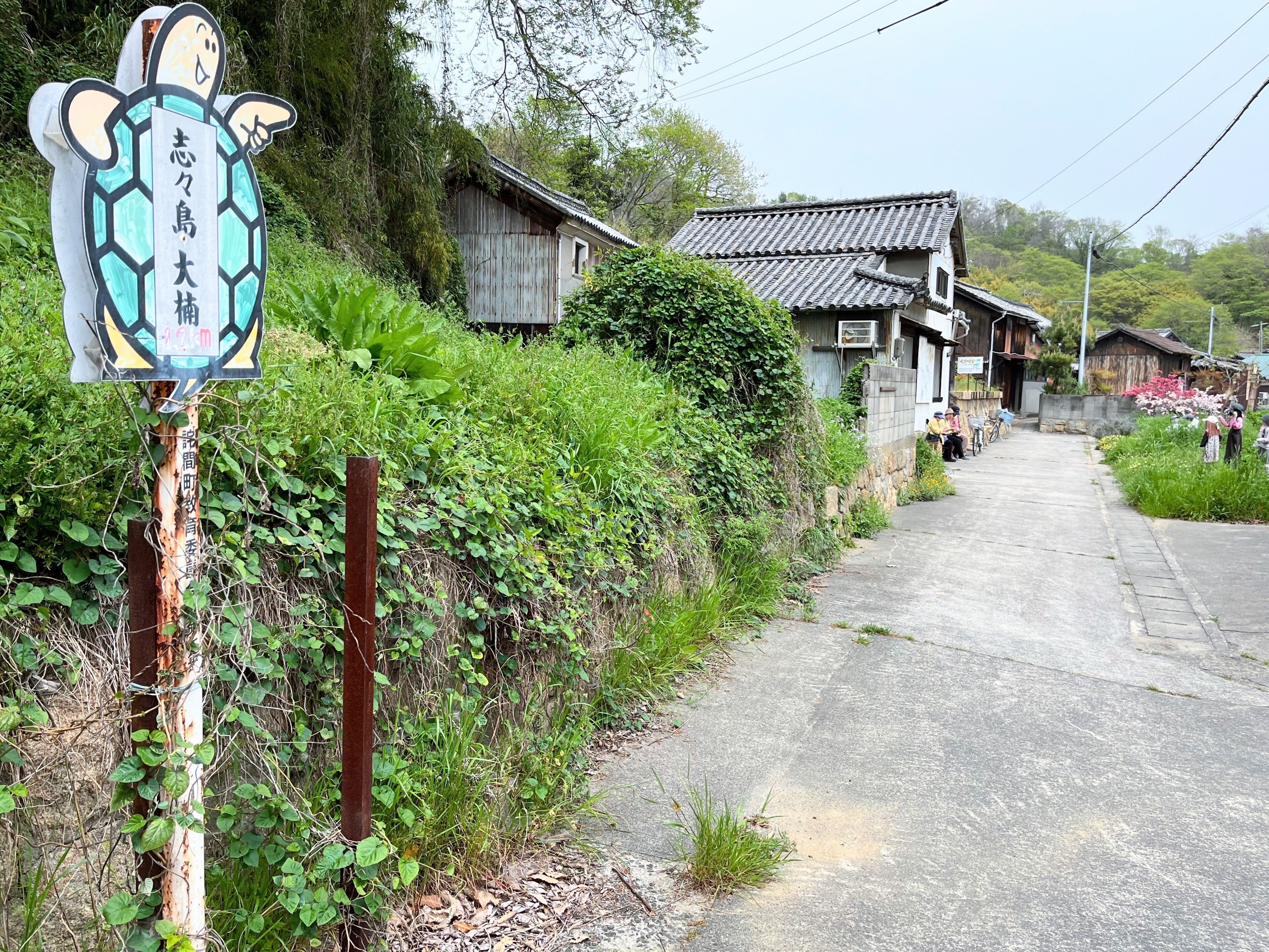 番外セイリング05 DAY2】燧灘から備後灘に入り、志々島・粟島へ 番外セイリング05 DAY2】燧灘から備後灘に入り、志々島・粟島へ