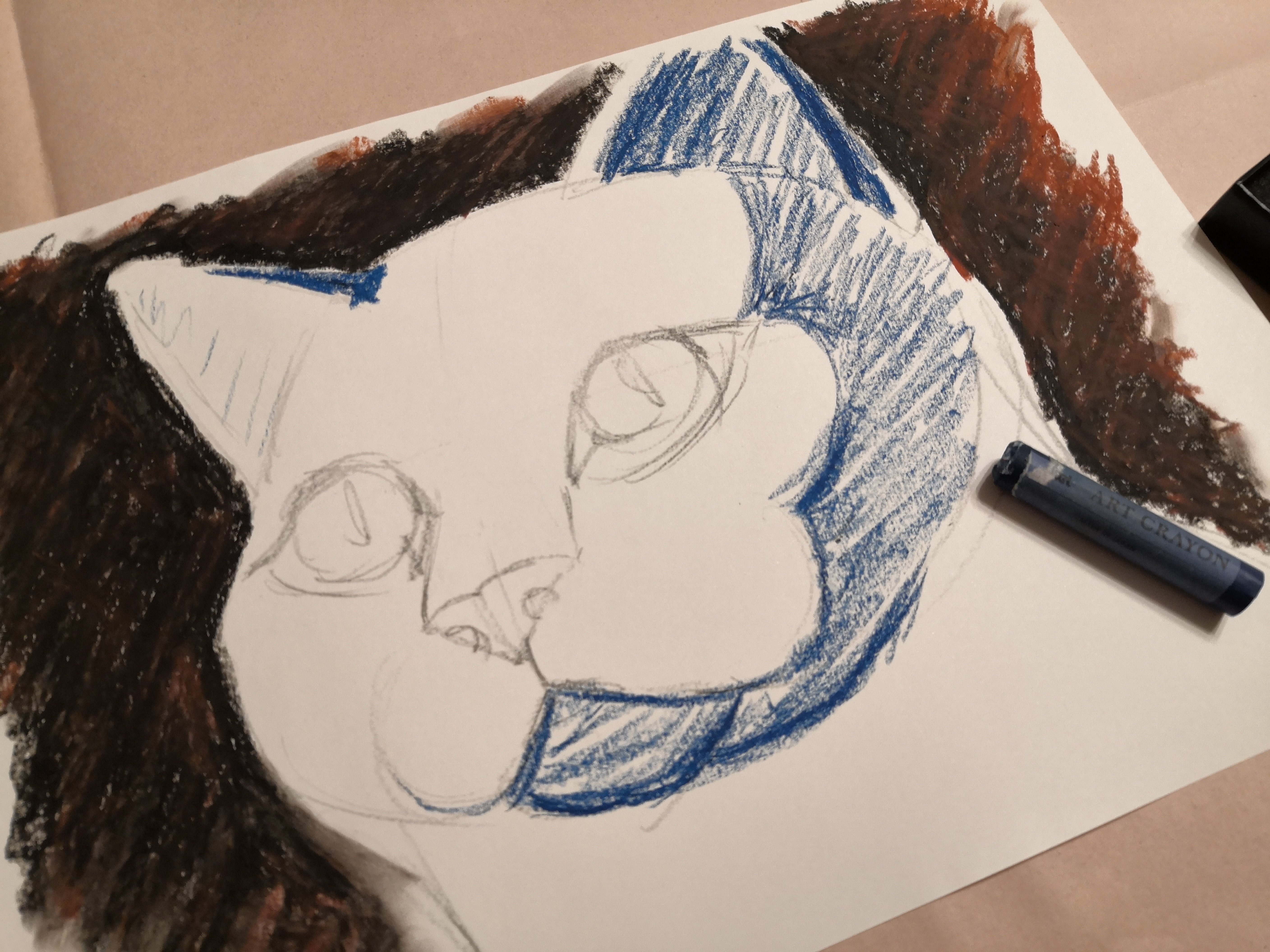 おじいちゃん先生と一緒にねこちゃんを描く！2000人が参加した