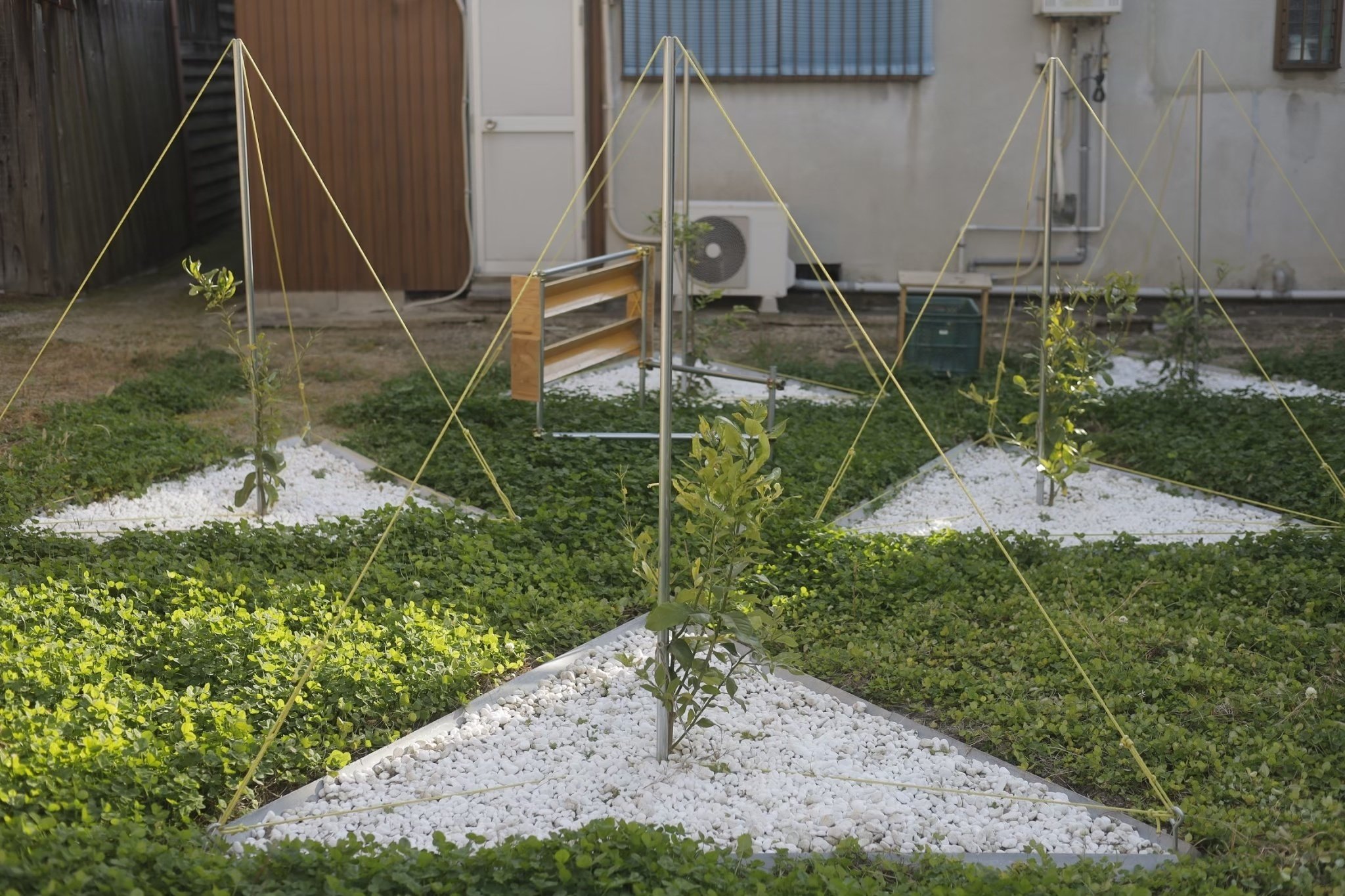 空き地活用〜レモン3〜｜KOSAKUSITU