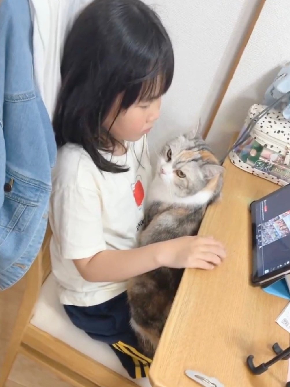イギリス製デコパージュ 上から貴方を覗き込む可愛い猫ちゃん！