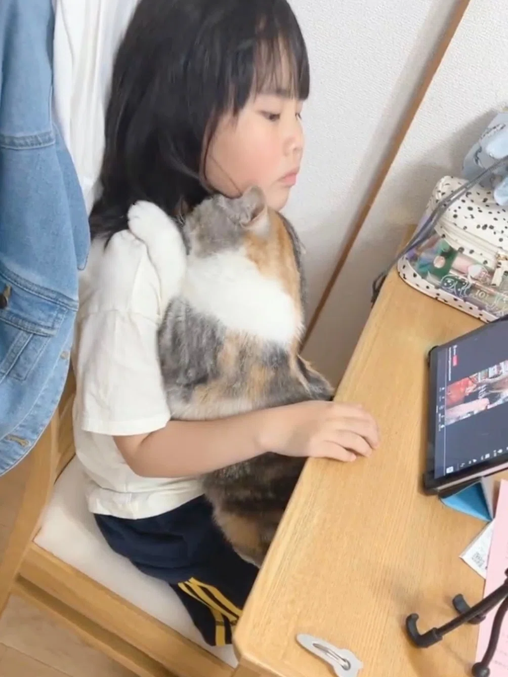 お風呂上がりの娘さんにスキスキが止まらない猫ちゃん、あまりの求愛っ