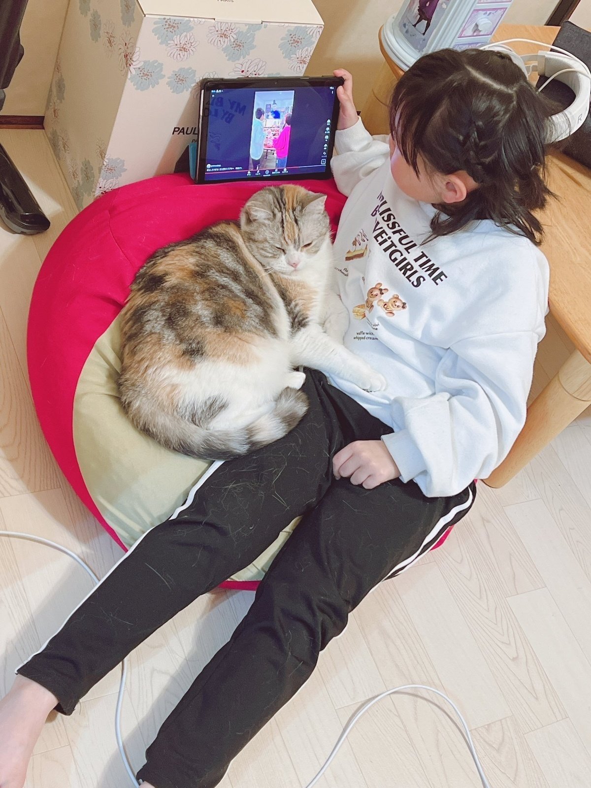 高質 ヘアゴム ぼれ 甘すぎない♡ぶら下がり猫ちゃん ヘアゴム