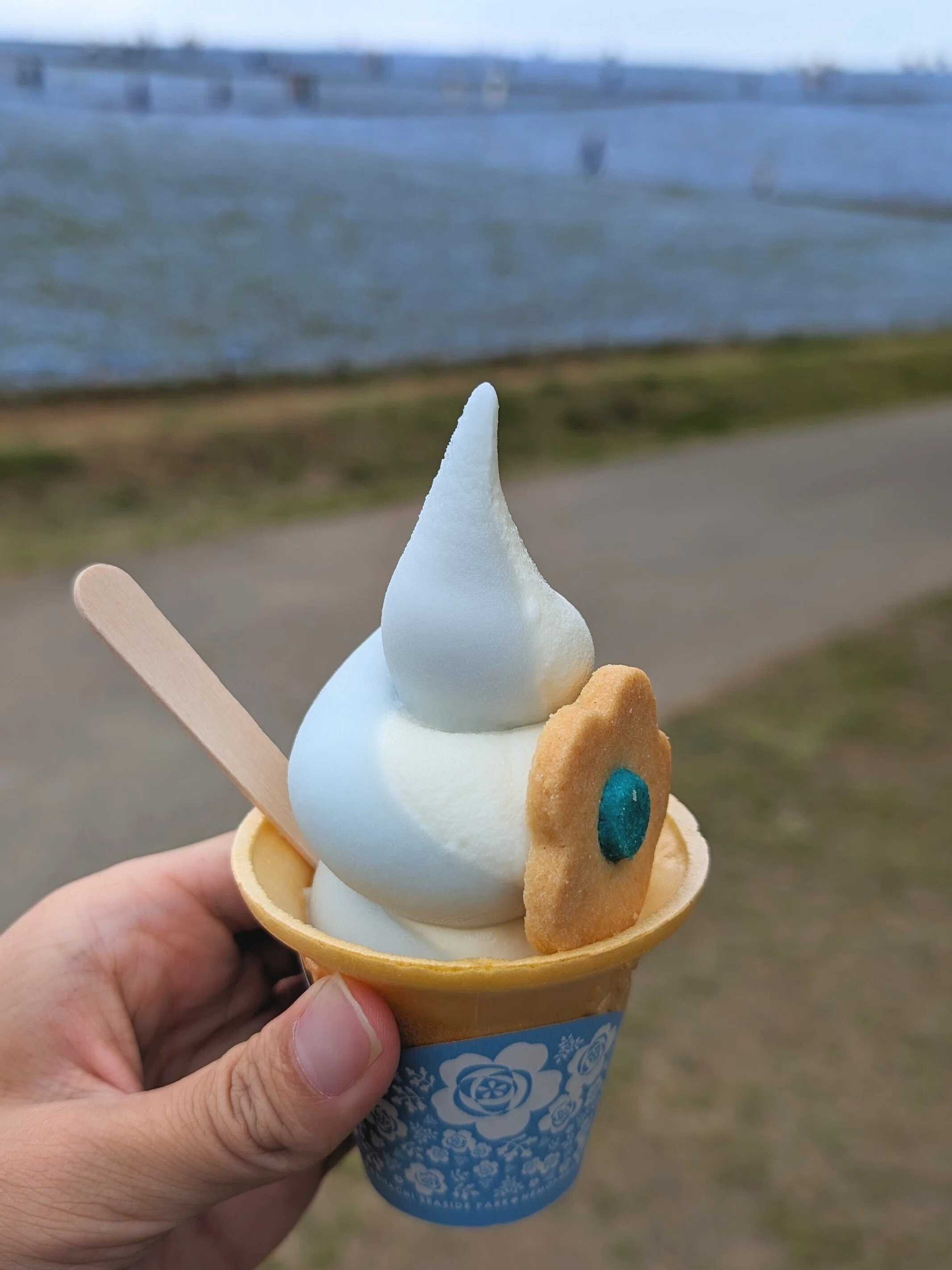 青いネモフィラの美しい ひたち海浜公園へ行ってきた｜tabirow