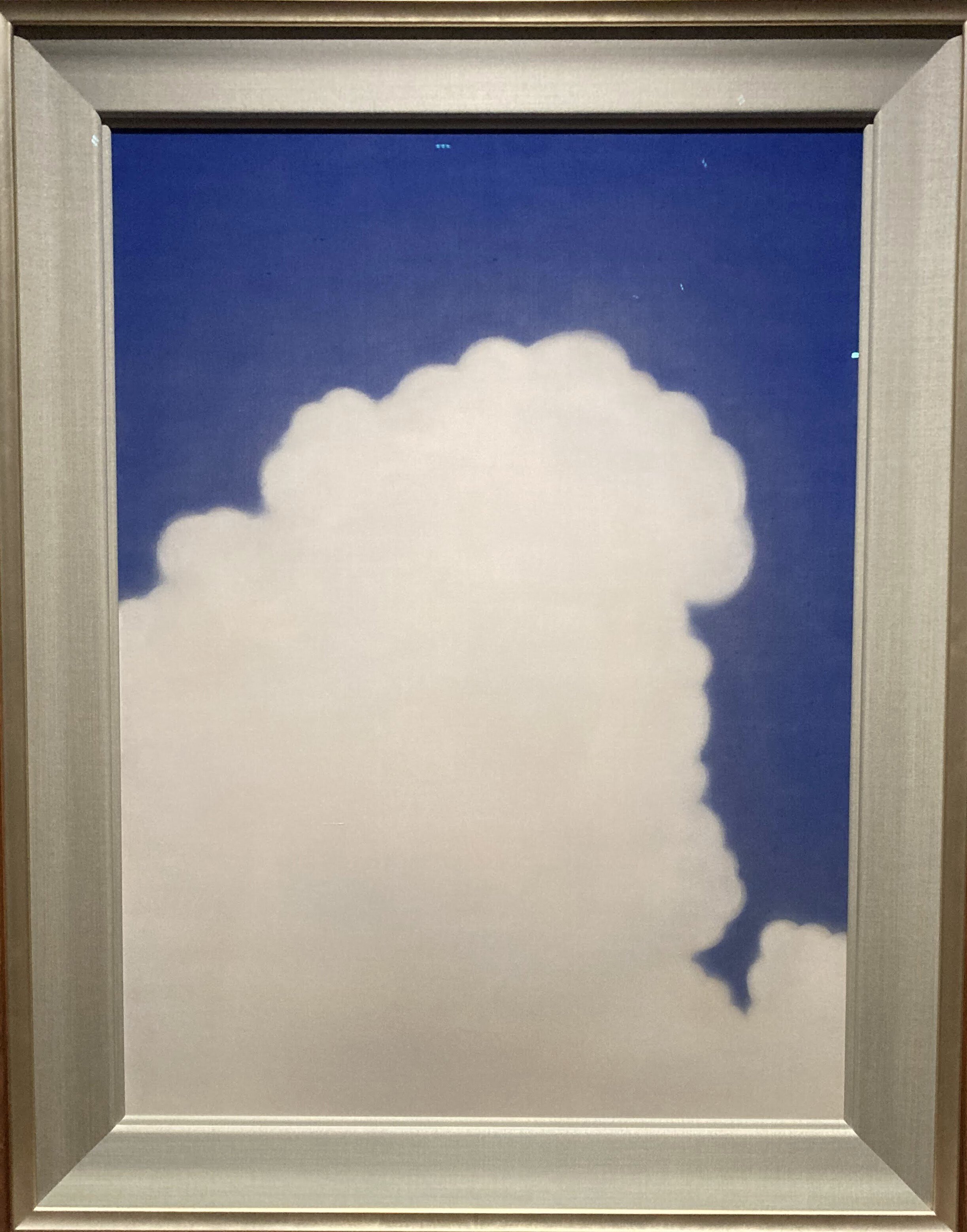 大阪中之島美術館 『没後50年 福田平八郎』｜スナフキンの友達