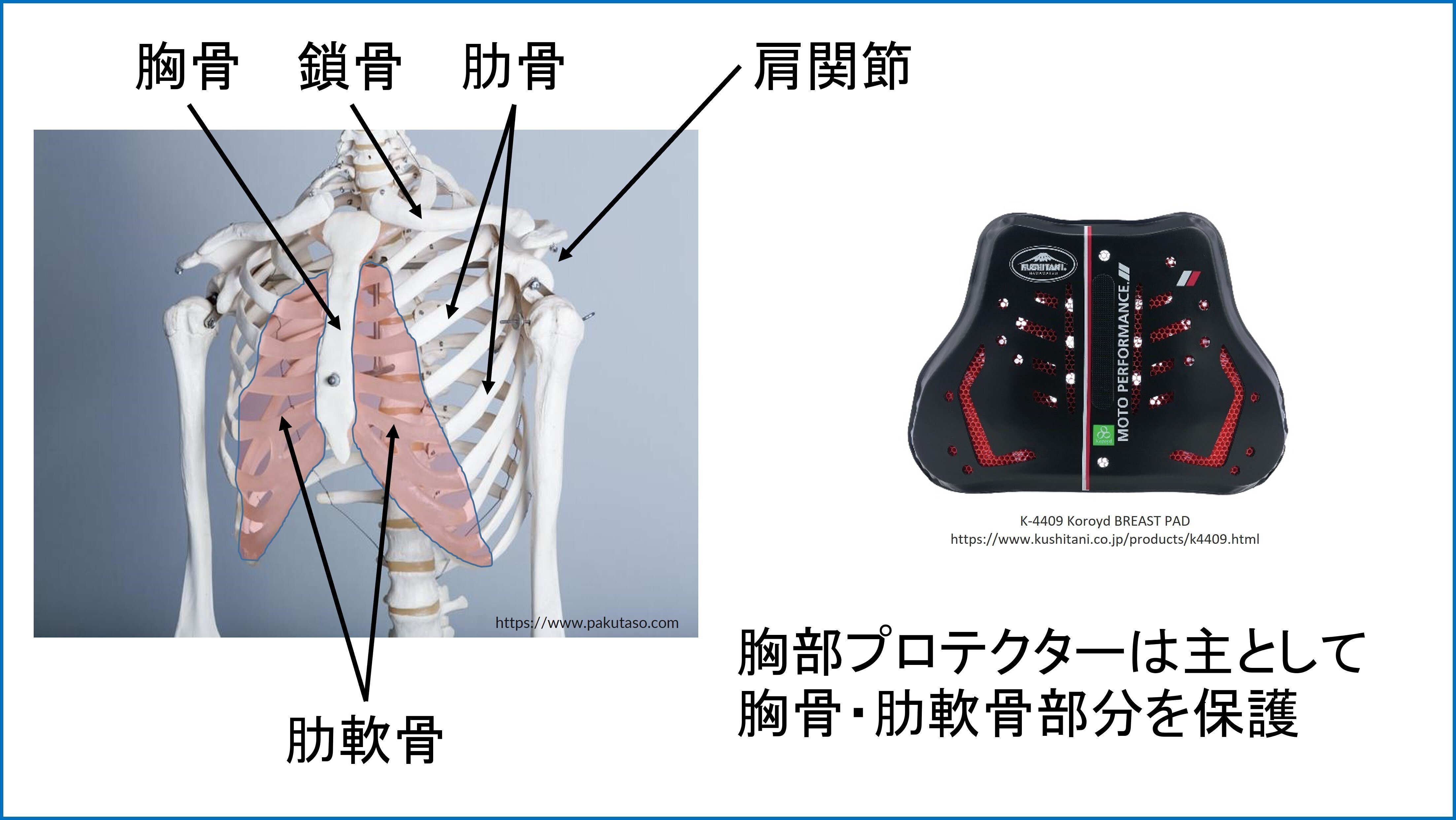 Amazon.co.jp 売れ筋ランキング: 脊椎背面プロテクター の中で最も人気