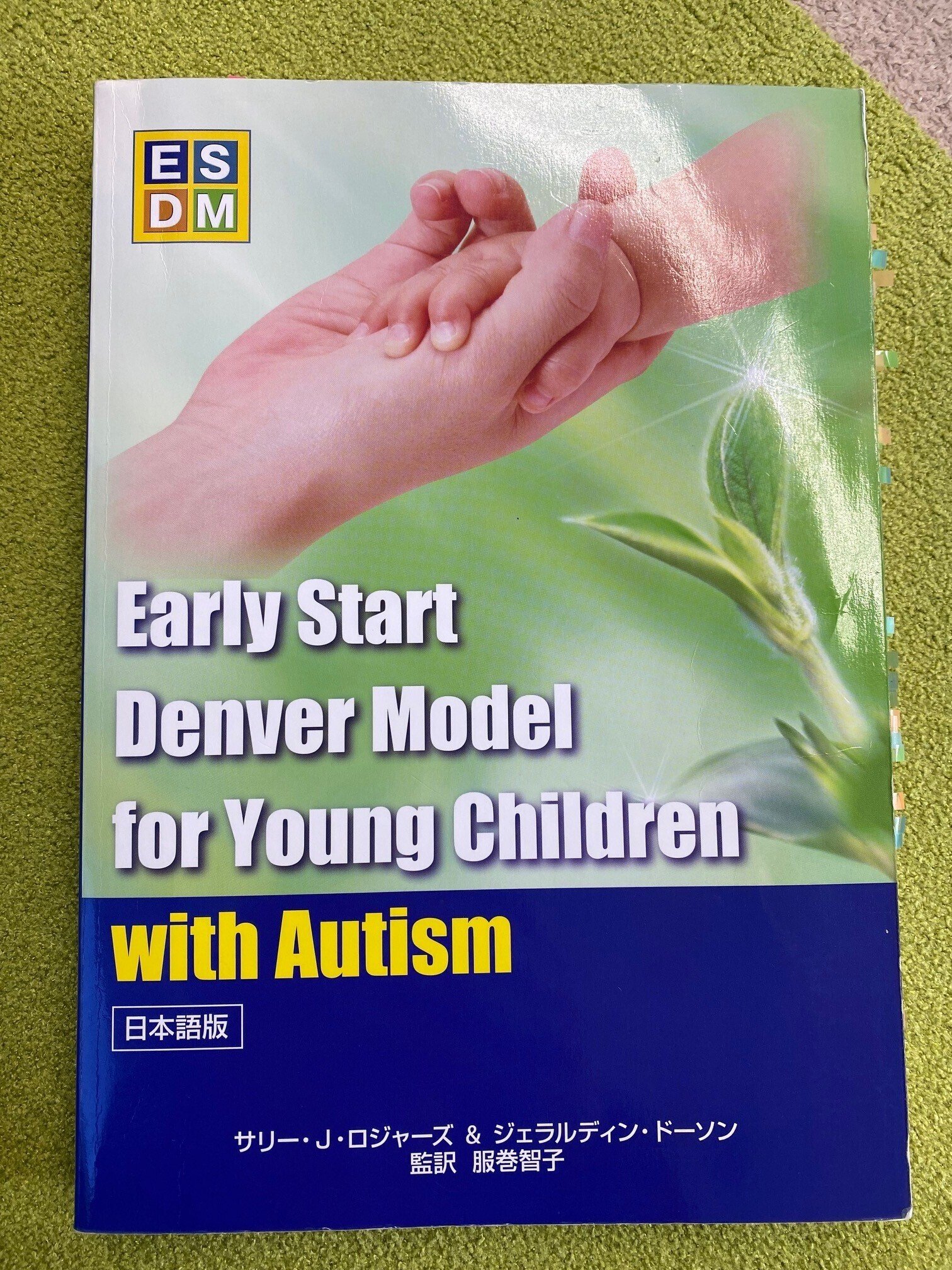 ESDM｜発達障害の専門家 撹上雅彦