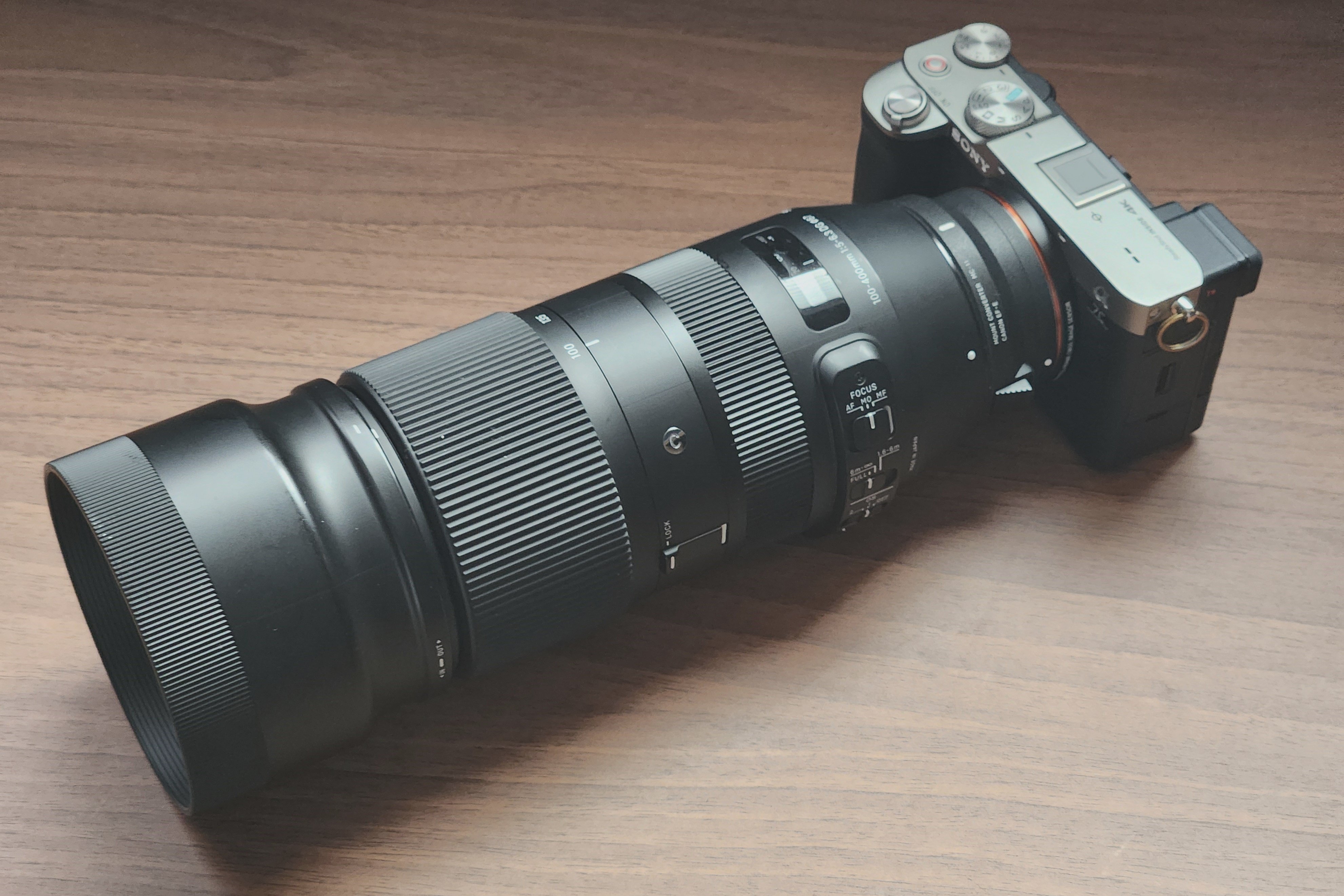 レビュー】Canon向けのバズーカをソニーのカメラにつけてディズニー