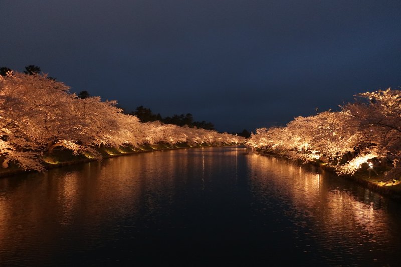 川沿い、夜の桜並木