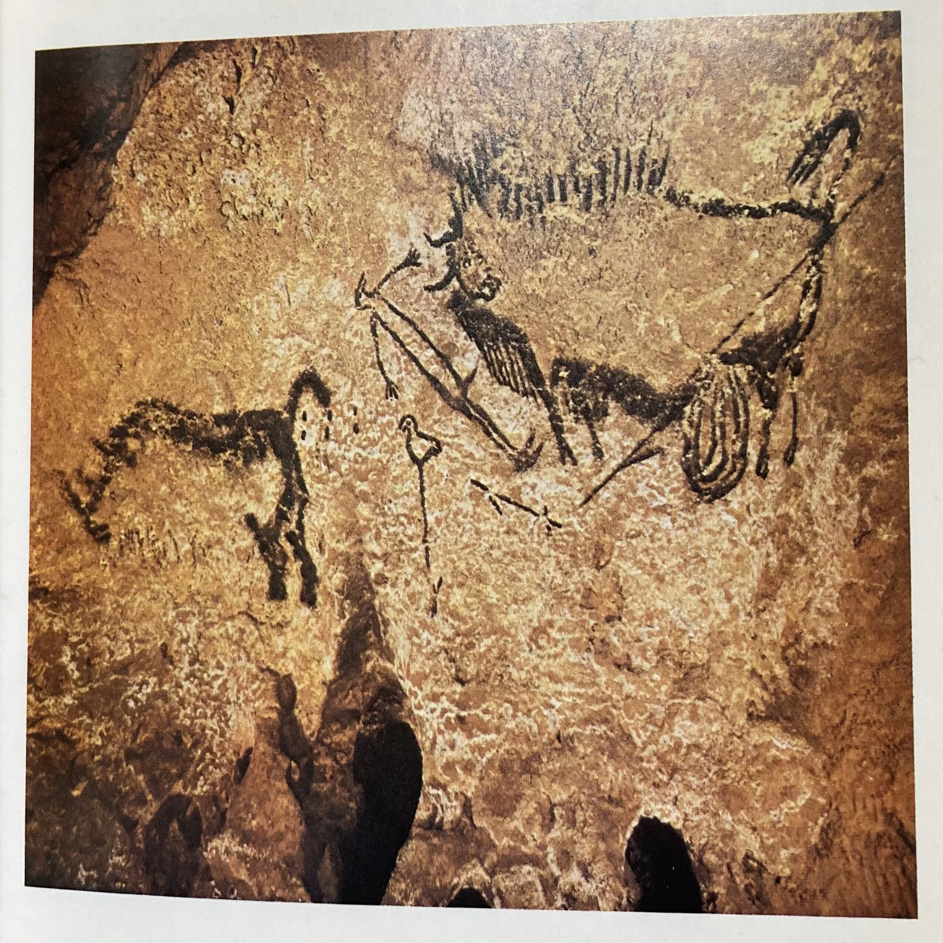 書評＞『ラスコーの壁画』｜きーやん（木下裕治）