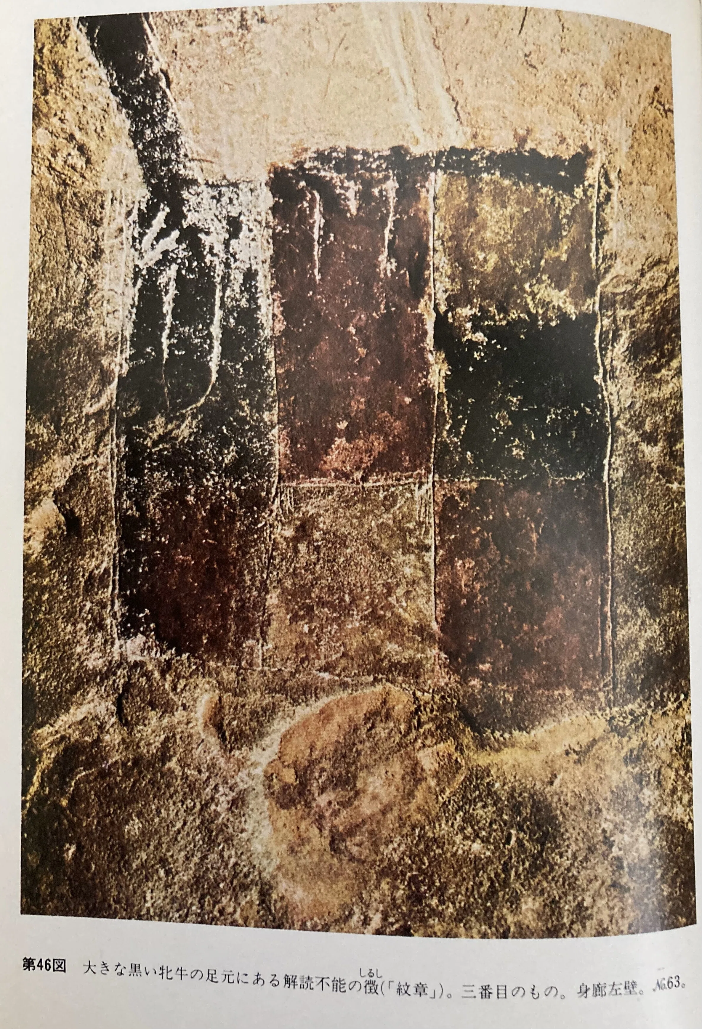 書評＞『ラスコーの壁画』｜きーやん（木下裕治）