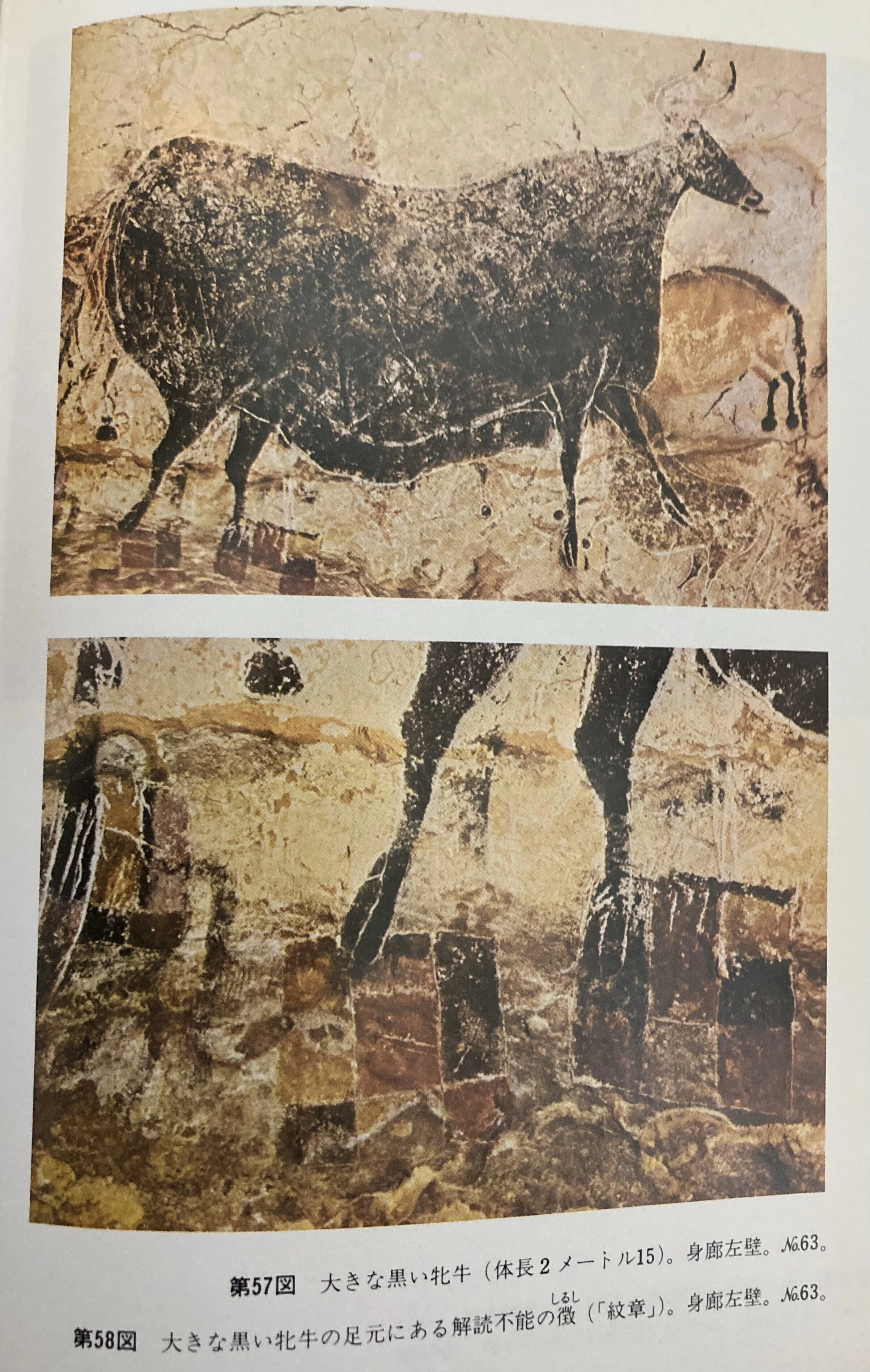書評＞『ラスコーの壁画』｜きーやん（木下裕治）