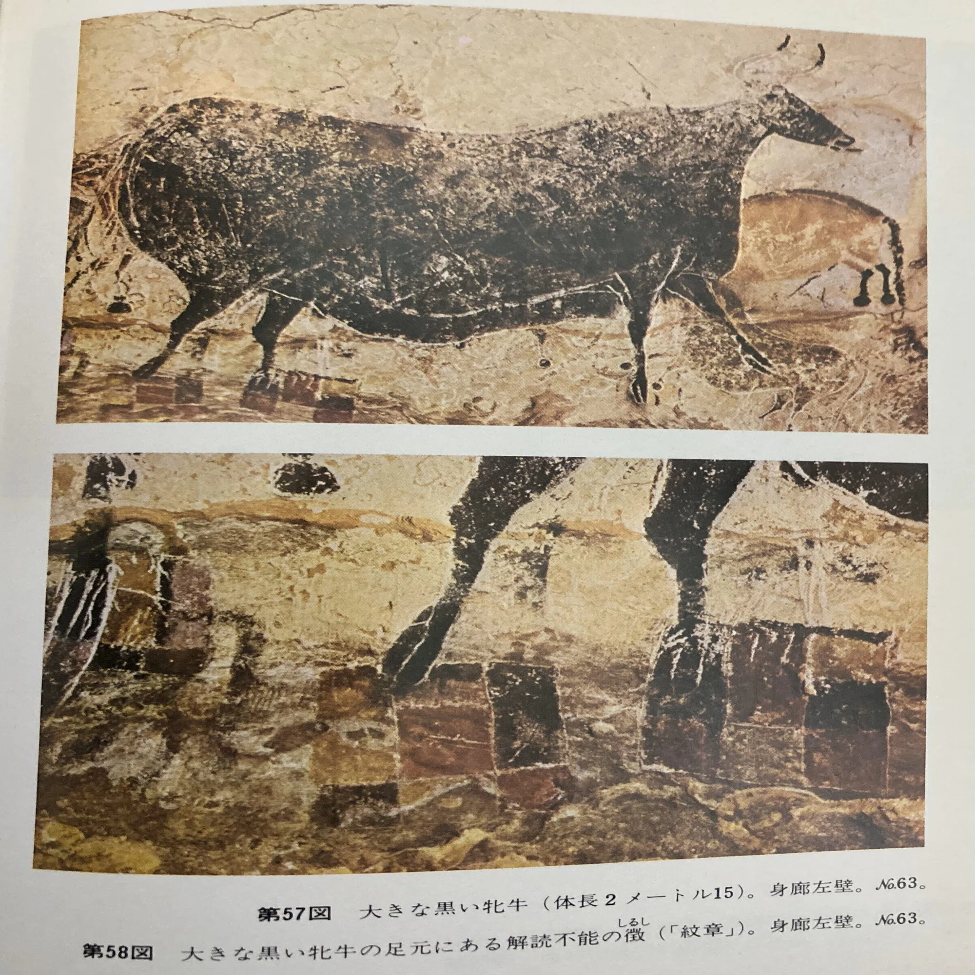 書評＞『ラスコーの壁画』｜きーやん（木下裕治）