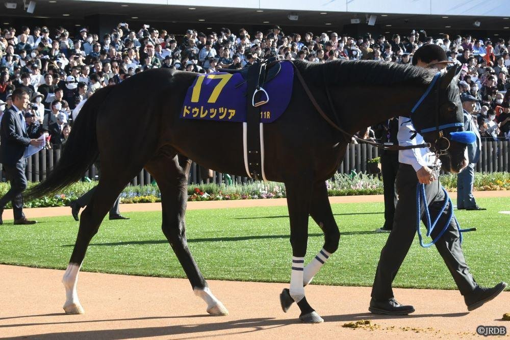 4/28(日)京都11R 天皇賞(春) 赤木の予想|JRDB 競馬アラカルト 4/28(日)京都11R 天皇賞(春) 赤木の予想|JRDB 競馬アラカルト