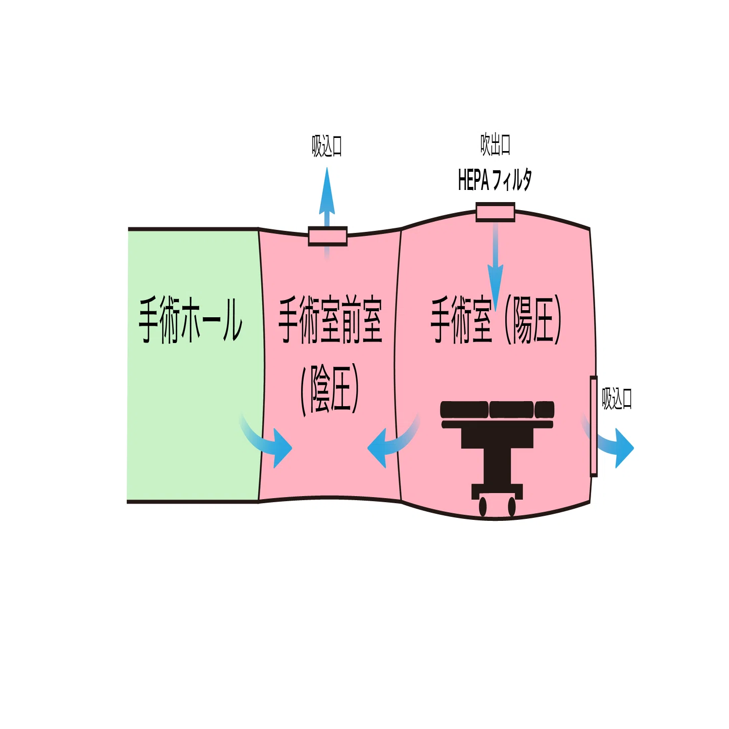 活動歴および当時の関連ビジュアル記録